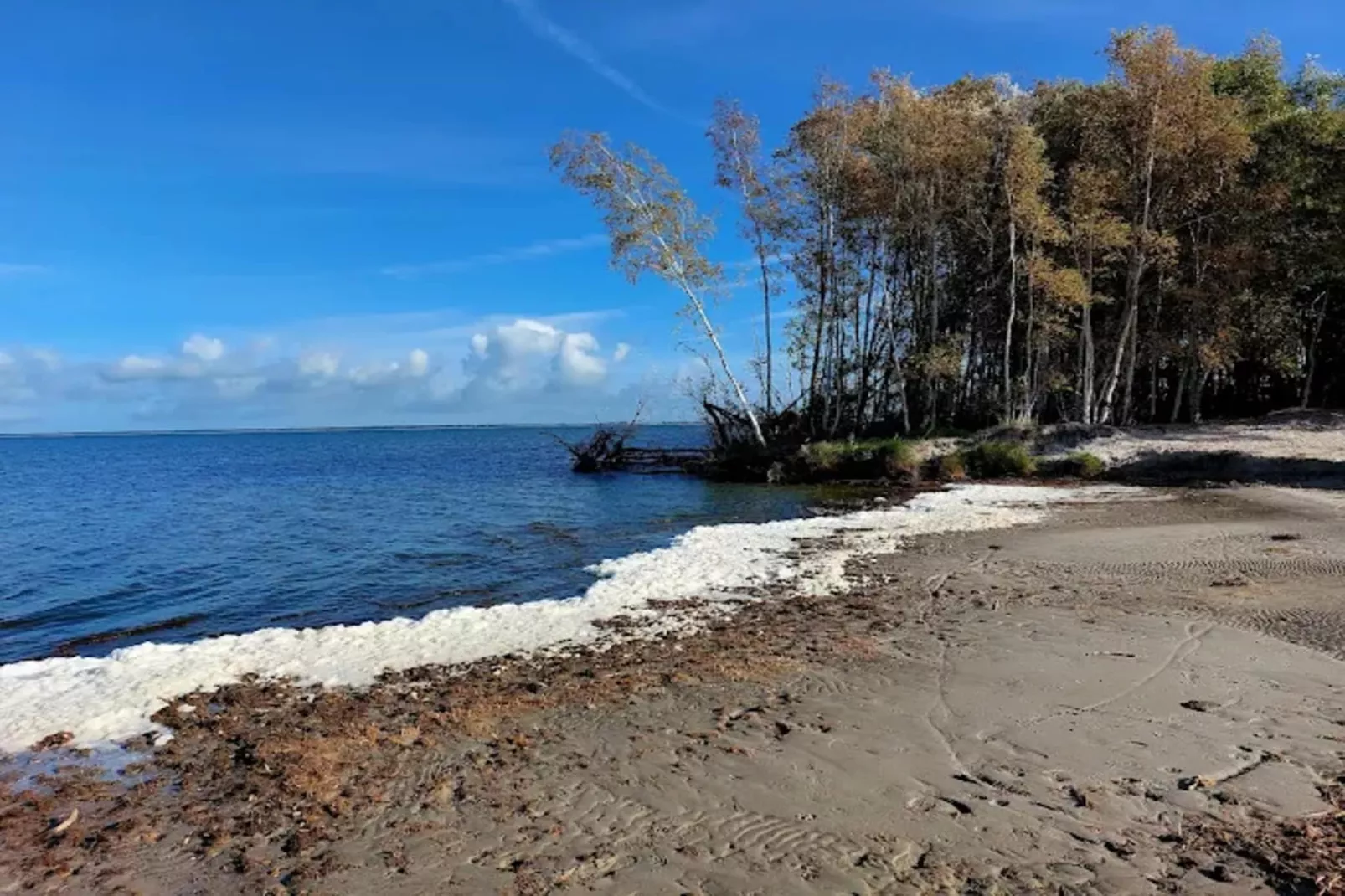 Haubenlerche 14-Gebieden zomer 5km