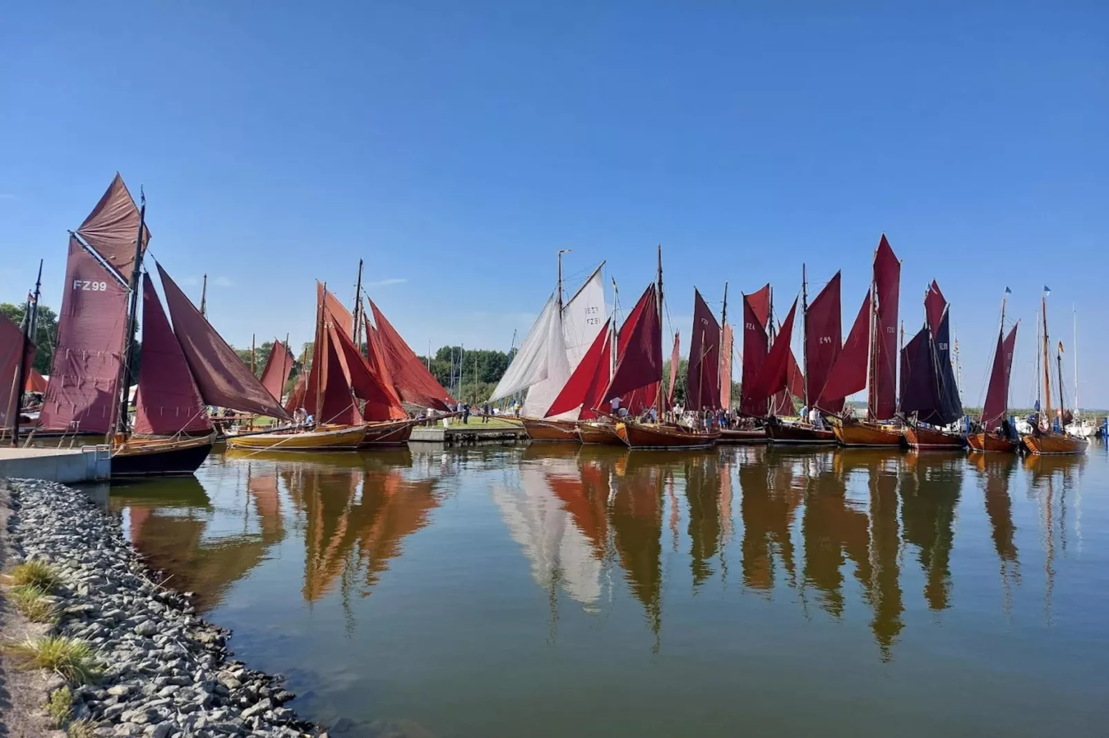 Schilfrohrsänger 51-Gebieden zomer 1km