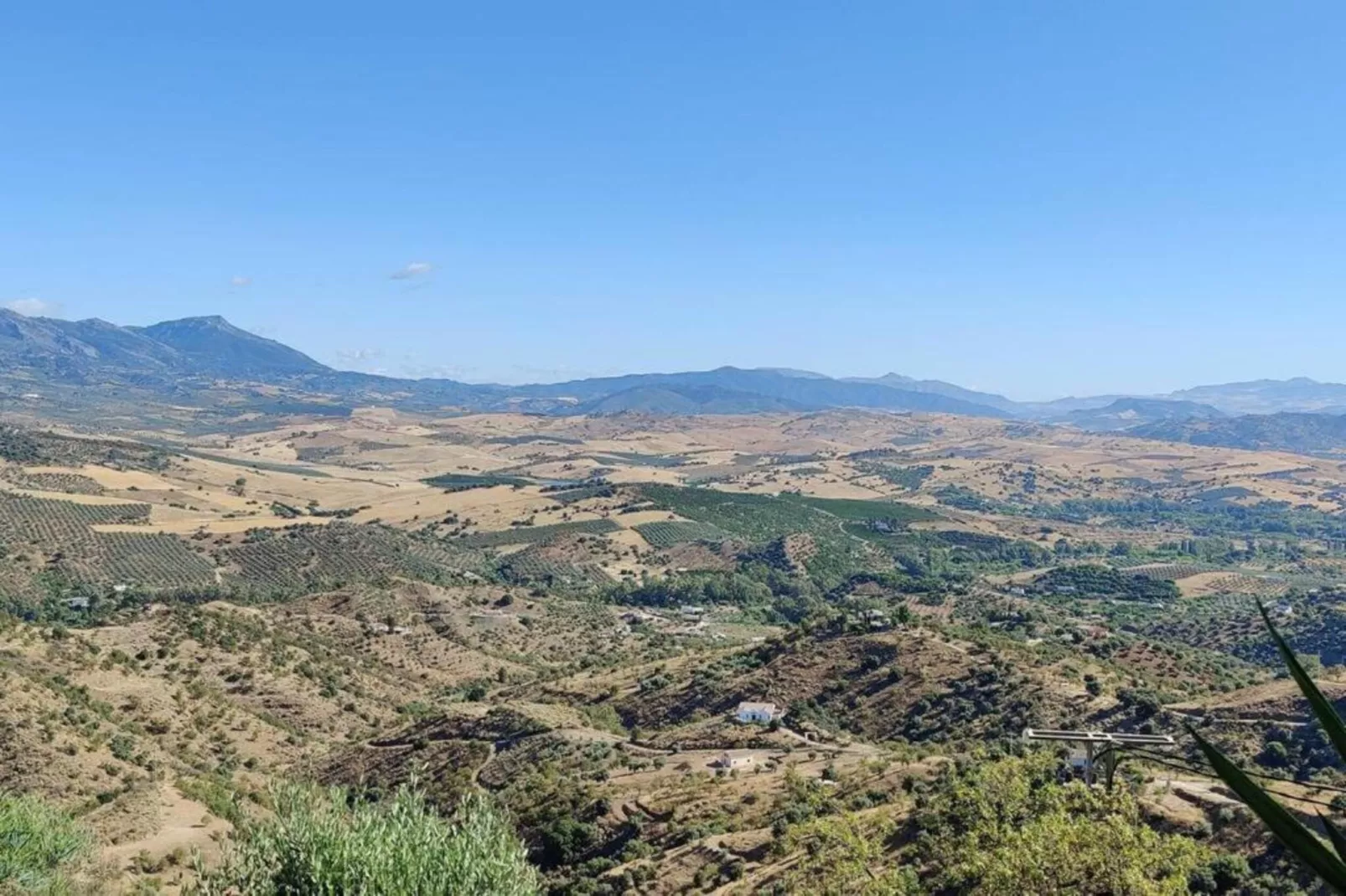 La Vista-Gebieden zomer 5km