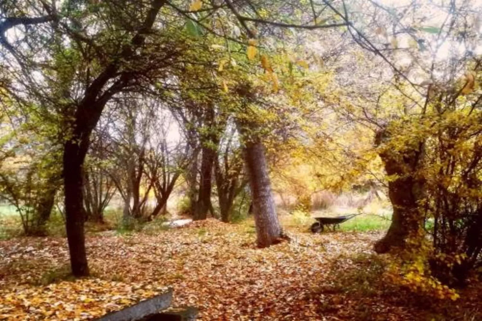 Gran jardín piscina y Spa - Galapagar II-Gebieden zomer 20km