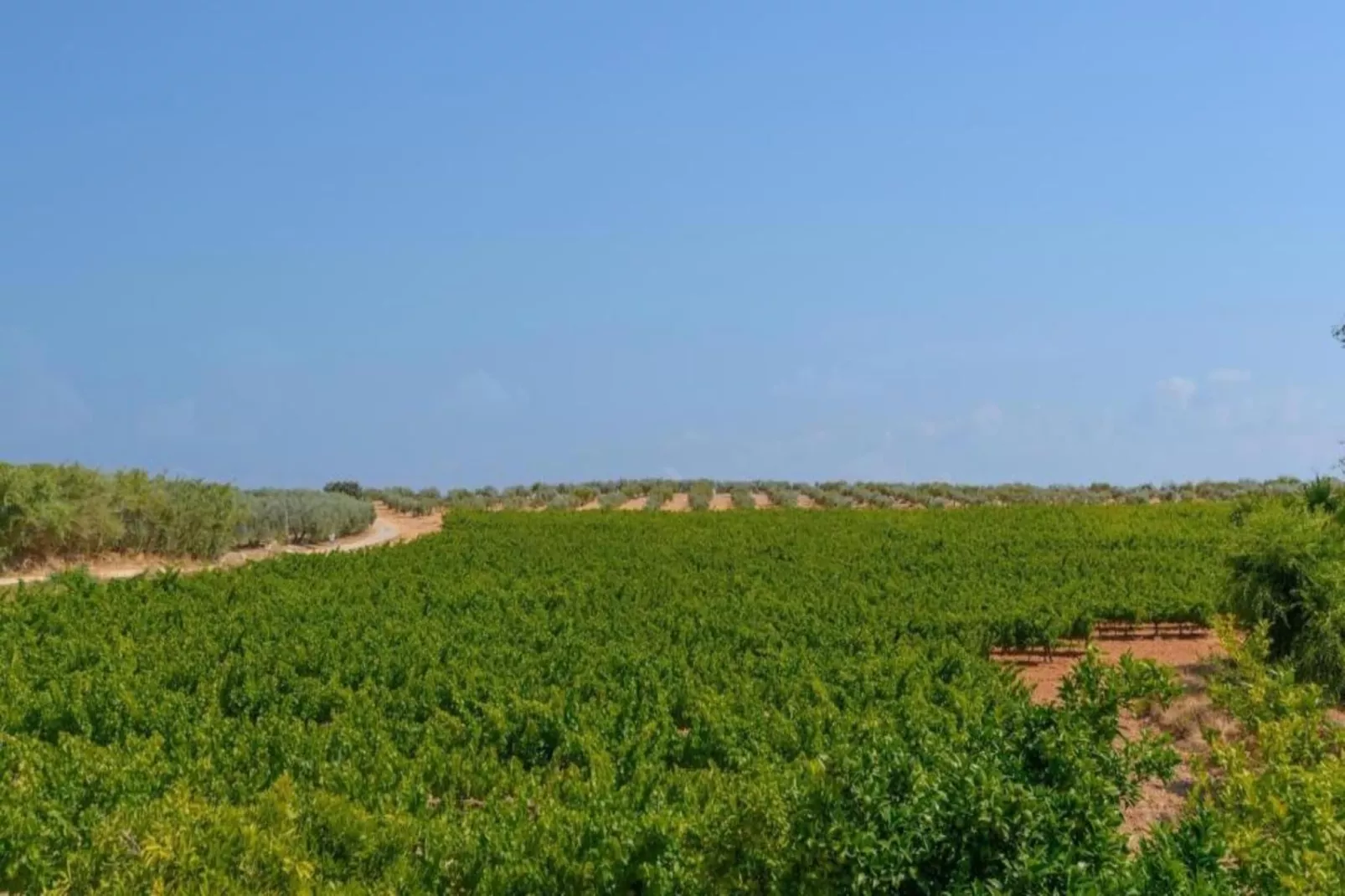 Piso confortable en Montilla-Gebieden zomer 5km