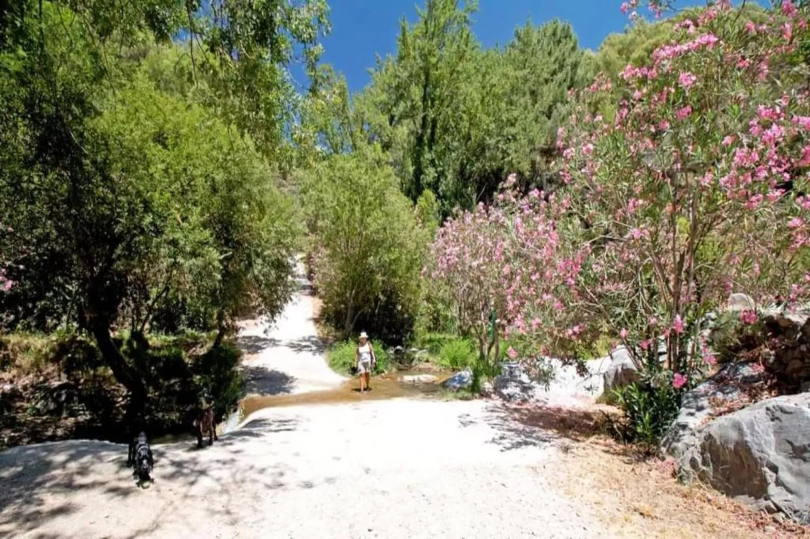 Cortijo las Monjas-Gebieden zomer 20km