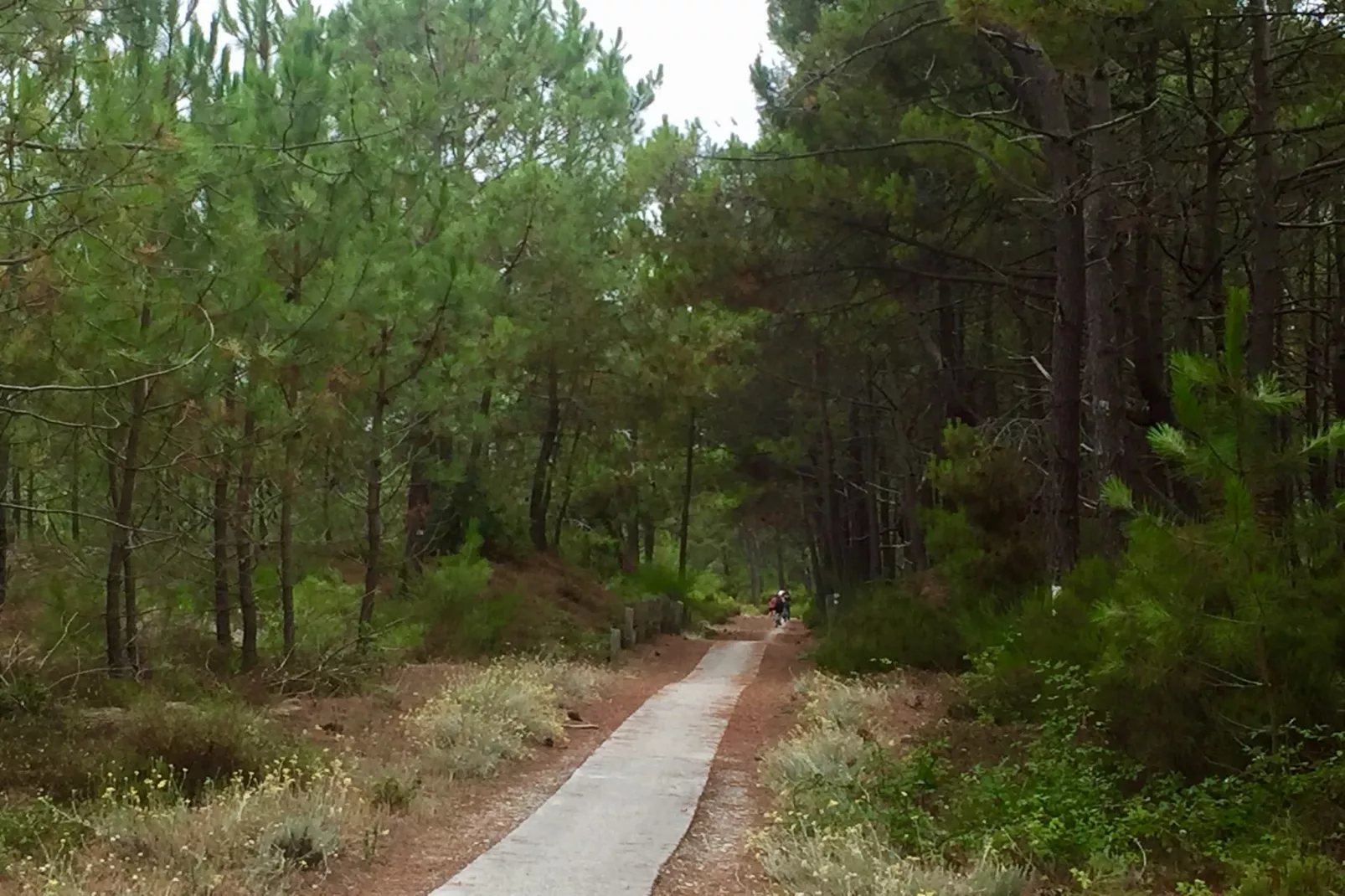 Clos les Pins-Gebieden zomer 1km