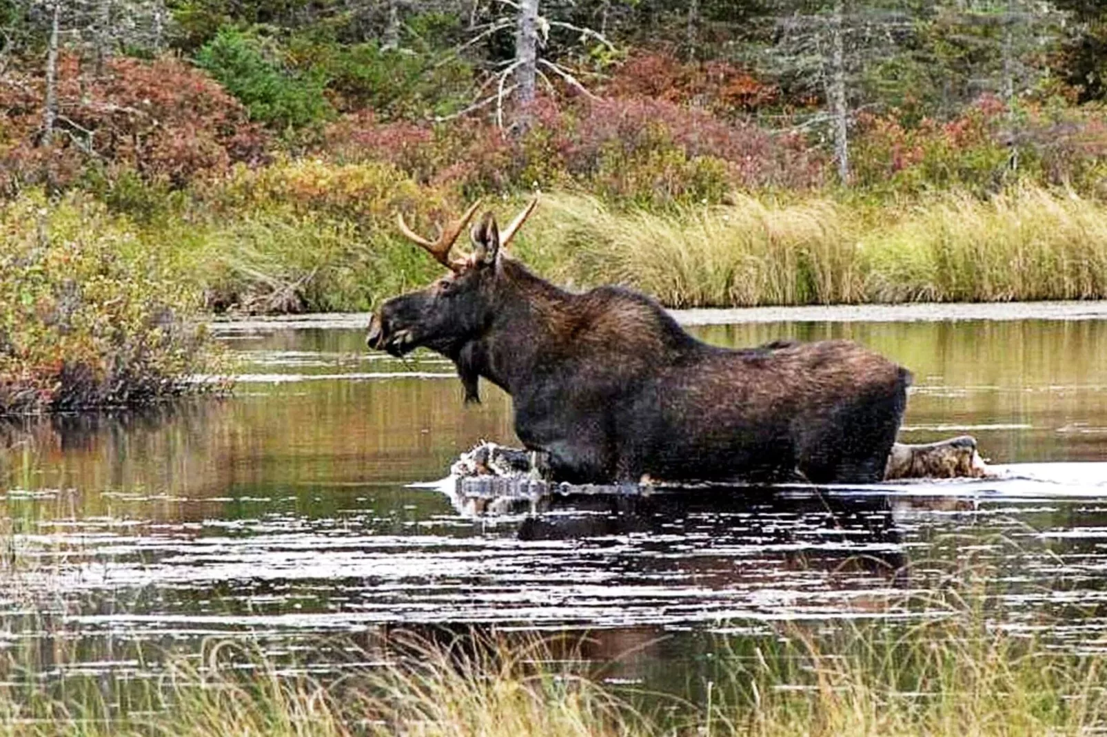 5 persoons vakantie huis in Fjärås-By Traum-Uitzicht