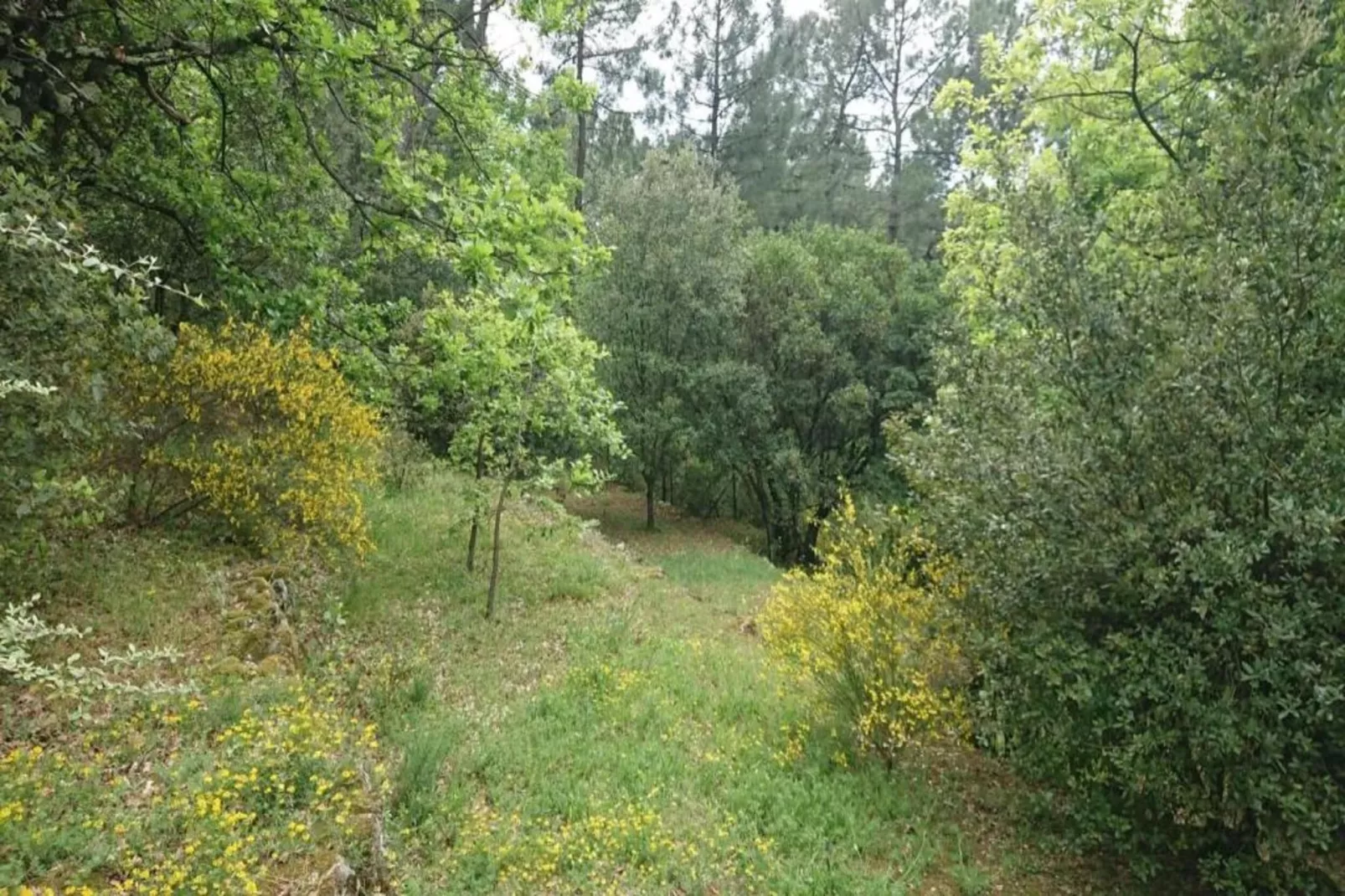 Studio 2 personnes Les Papillons-Gebieden zomer 20km