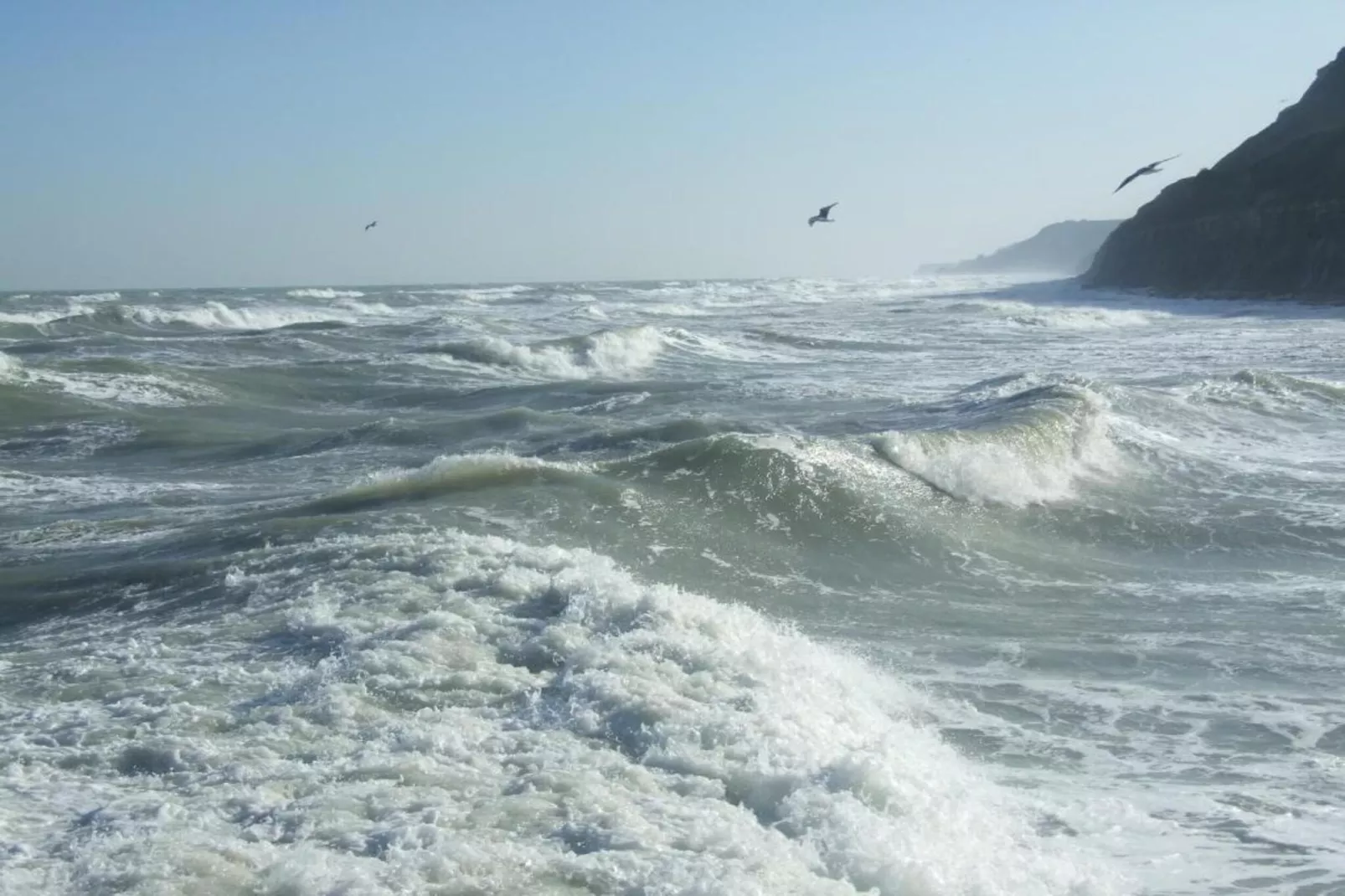 GUYBERNINE JARDIN-Gebieden zomer 1km