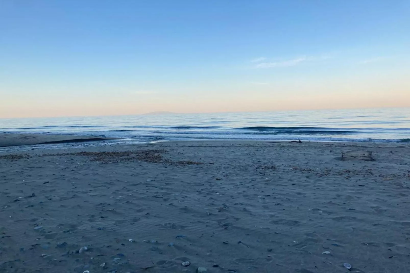 Indigo-Gebieden zomer 1km