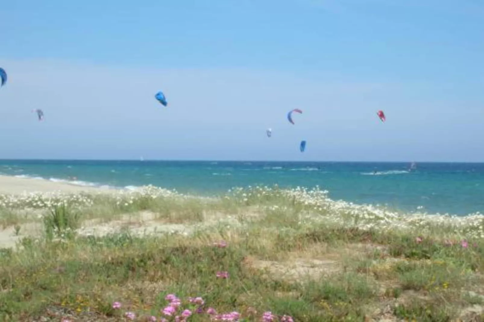 Résidence le Maquis Plage Type 3-Gebieden zomer 1km