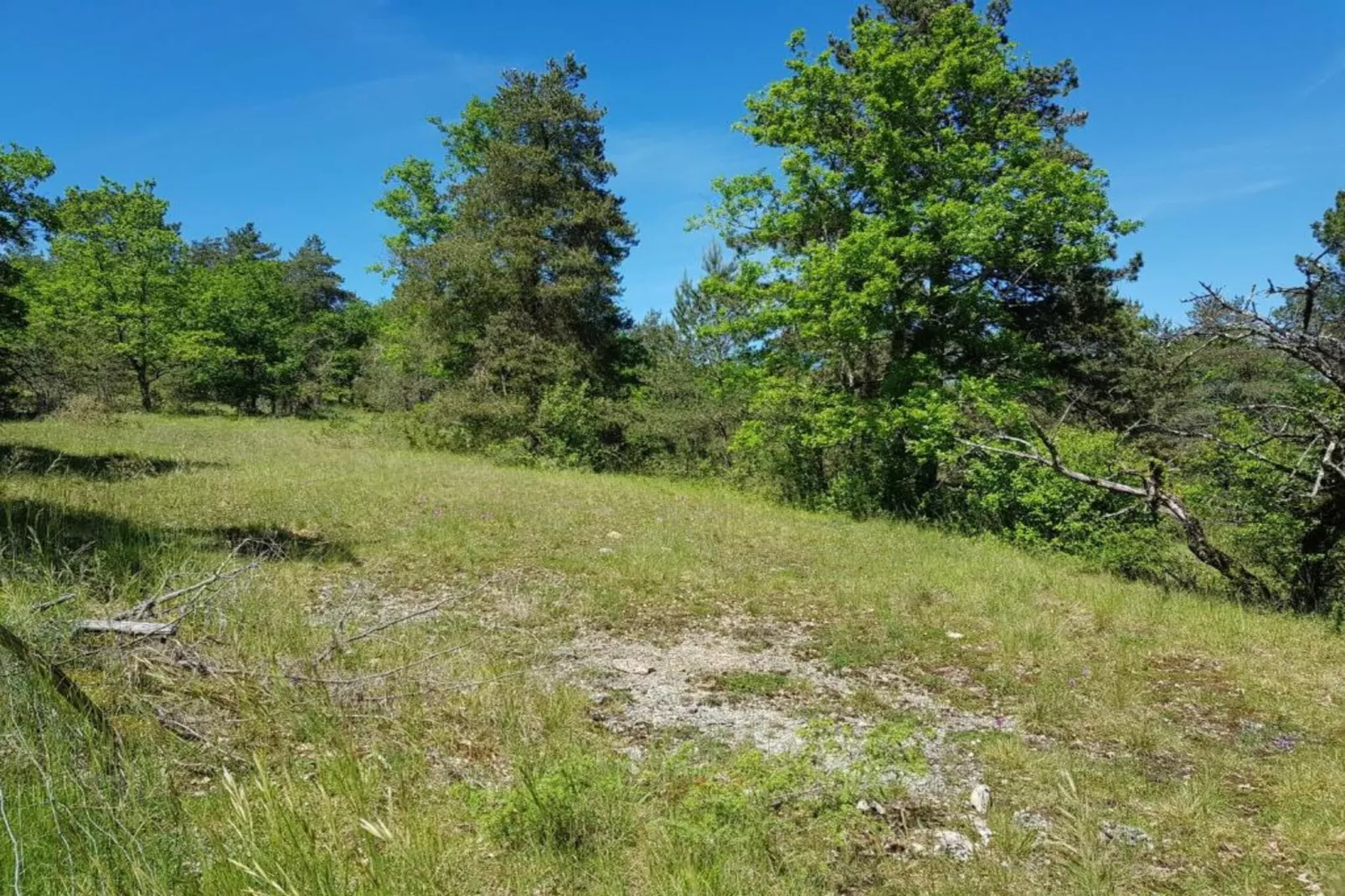 Résidence Le Hameau du Moulin 2-Gebieden zomer 20km