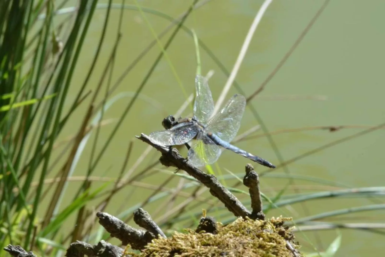 Maison au calme avec piscine-Gebieden zomer 20km