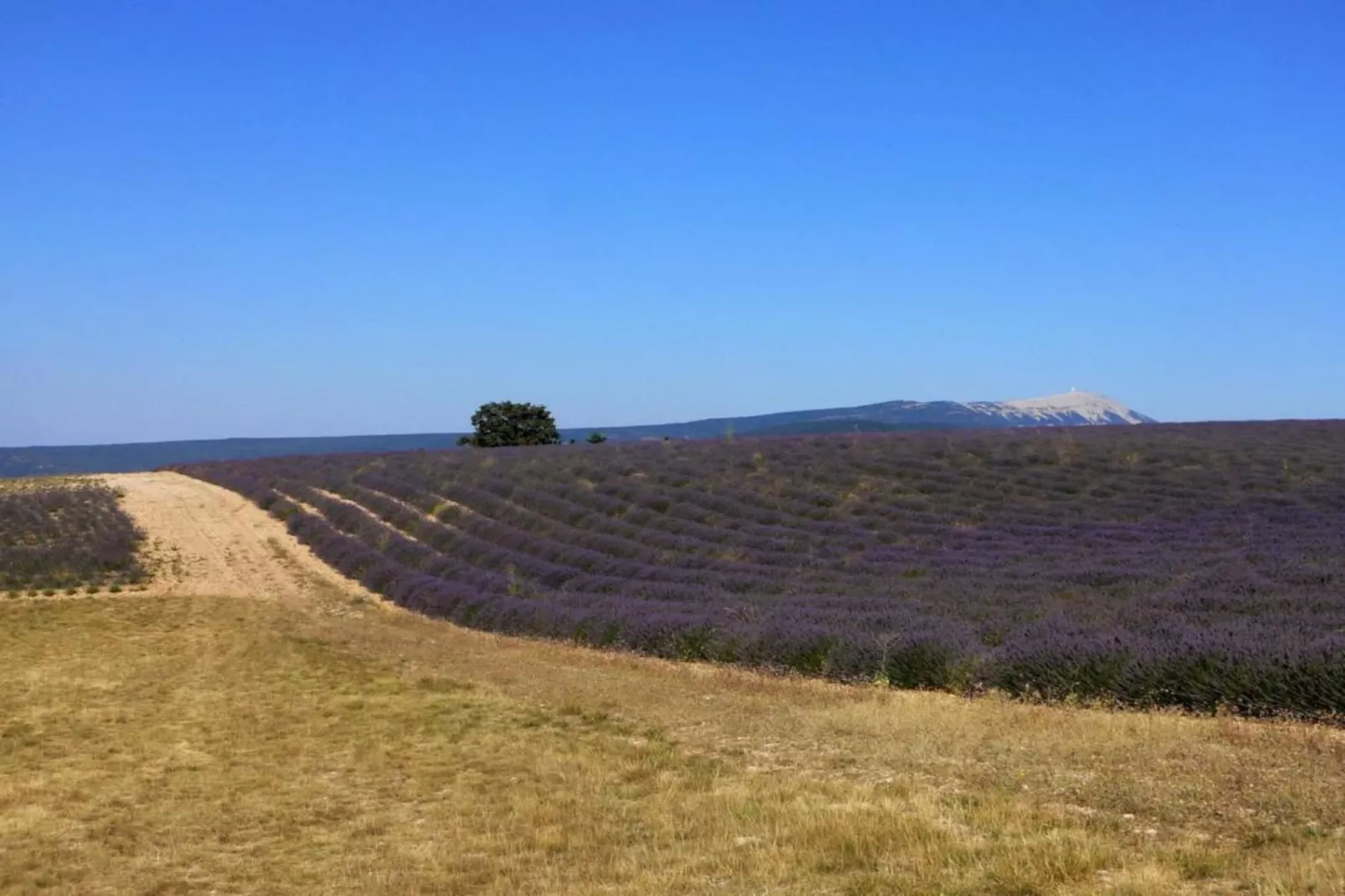 Maison de vacances - LUS-LA CROIX-HAUTE-Gebieden zomer 20km
