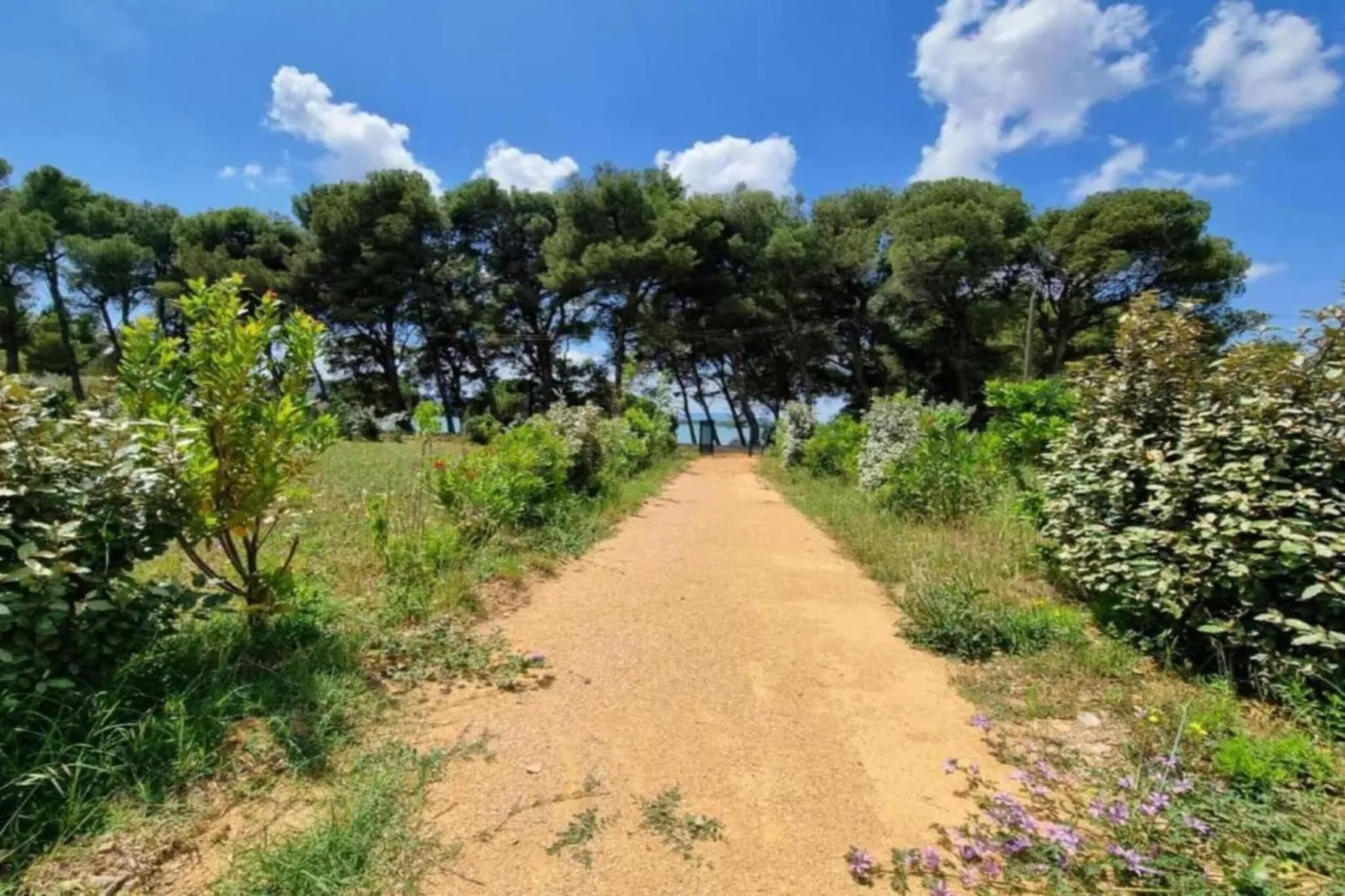 La Serre-Gebieden zomer 5km