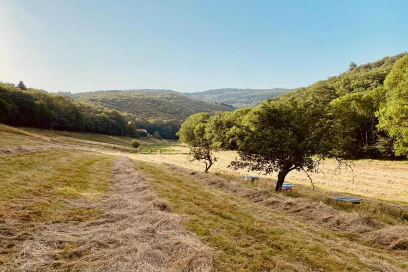 Domaine Courniou-Gebieden zomer 5km