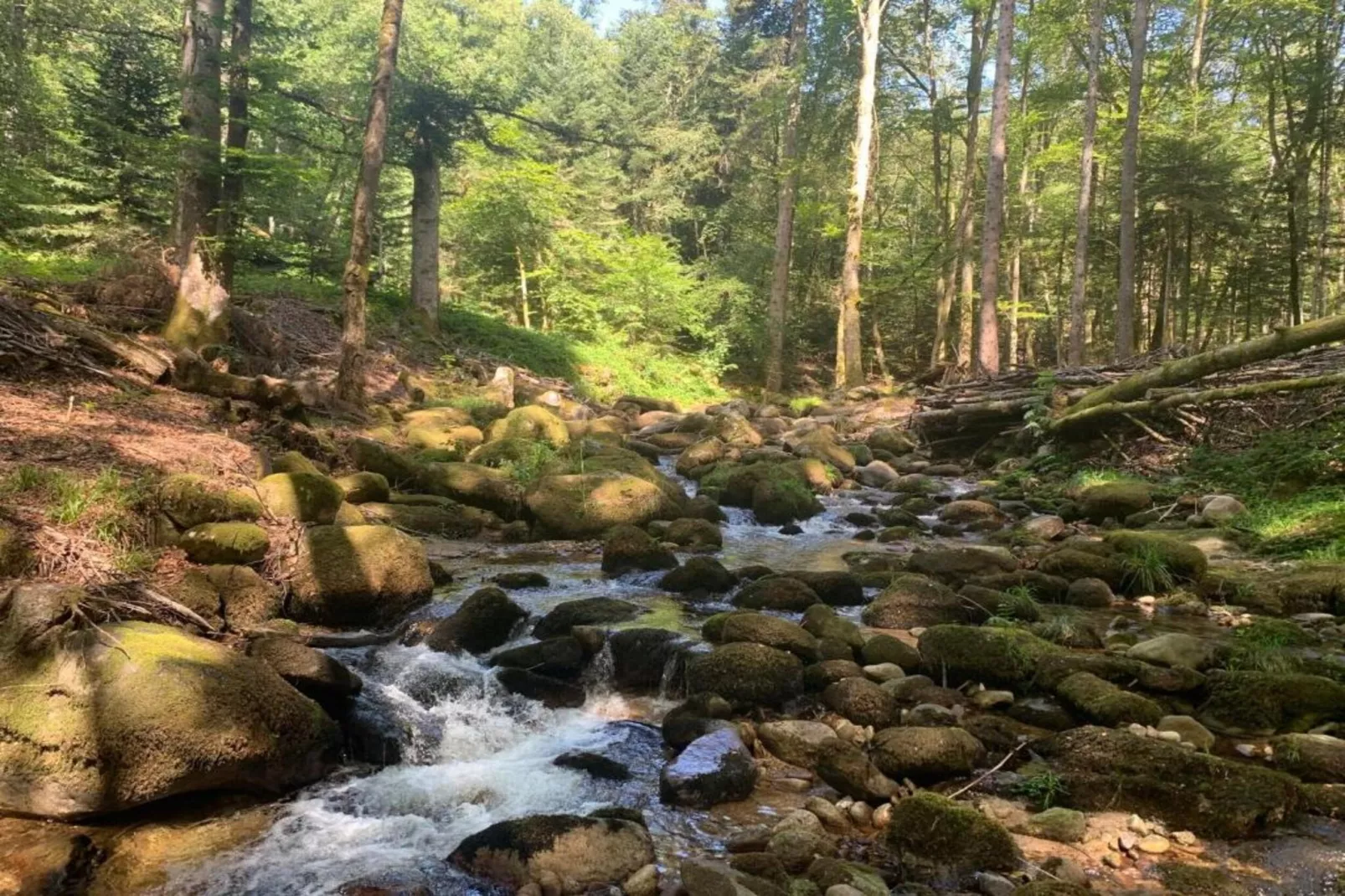 Gite -   SAUVAIN-Gebieden zomer 5km