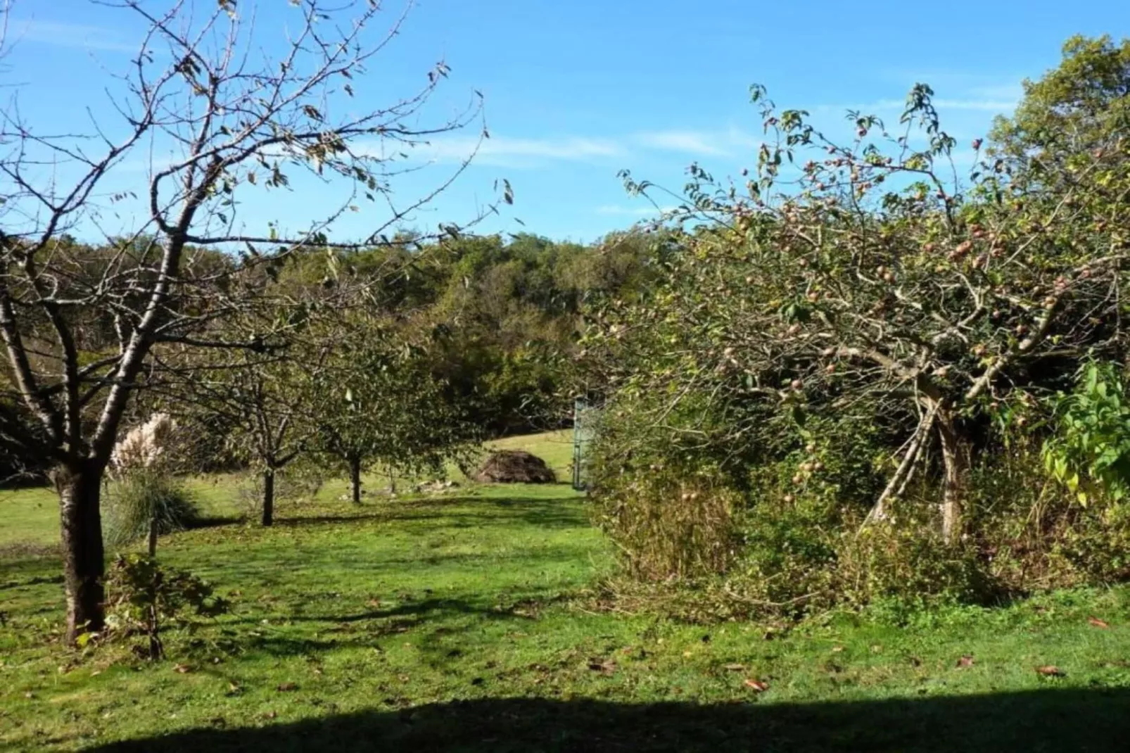 Maison de vacances Sourdeval les Bois-Gebieden zomer 20km