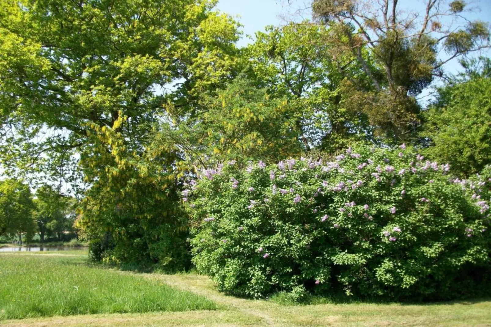 Maison de vacances St Laurent des Mortiers-Gebieden zomer 20km