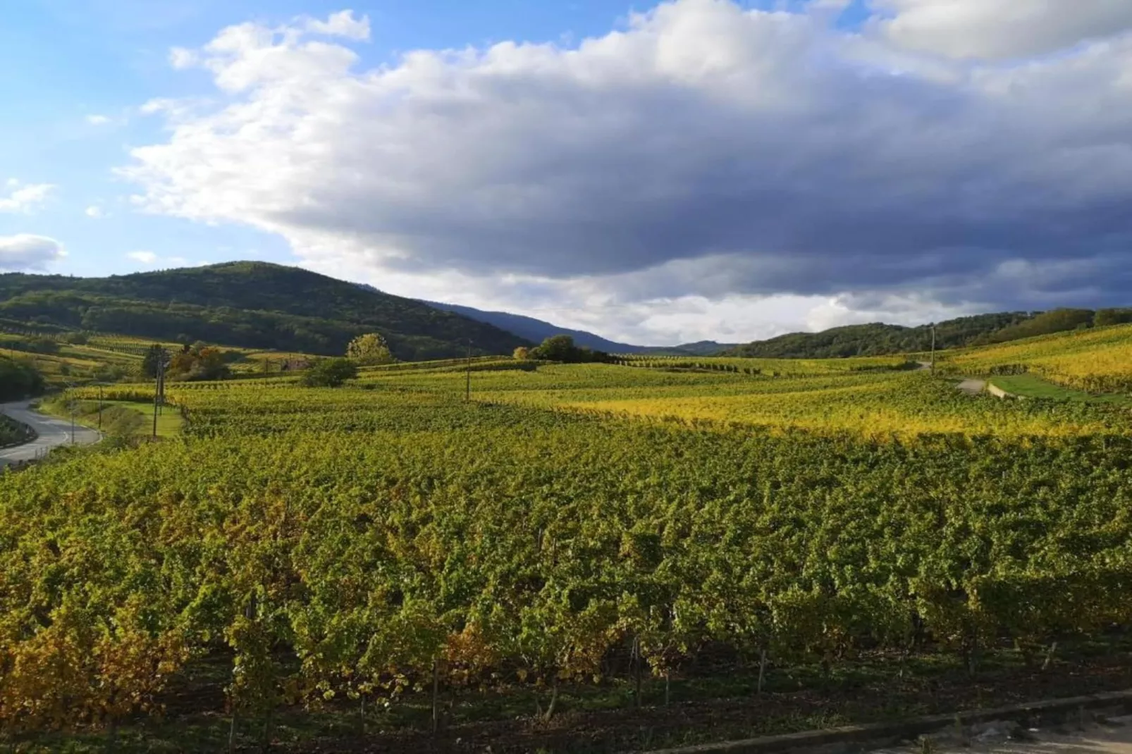Le Domaine des Rois 2-Gebieden zomer 5km