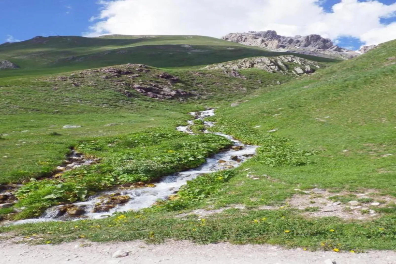 Chalet Le Mas des Neiges-Gebieden zomer 20km