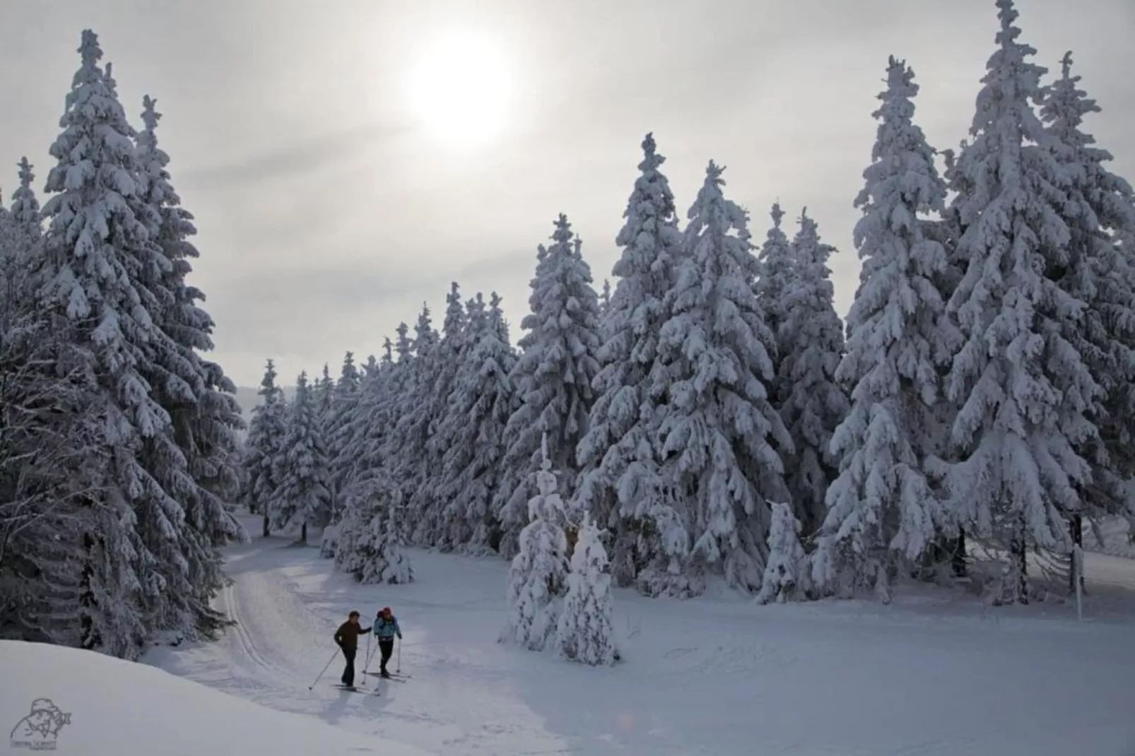 Résidence Le Hameau du Mottaret 1-Gebied winter 20km