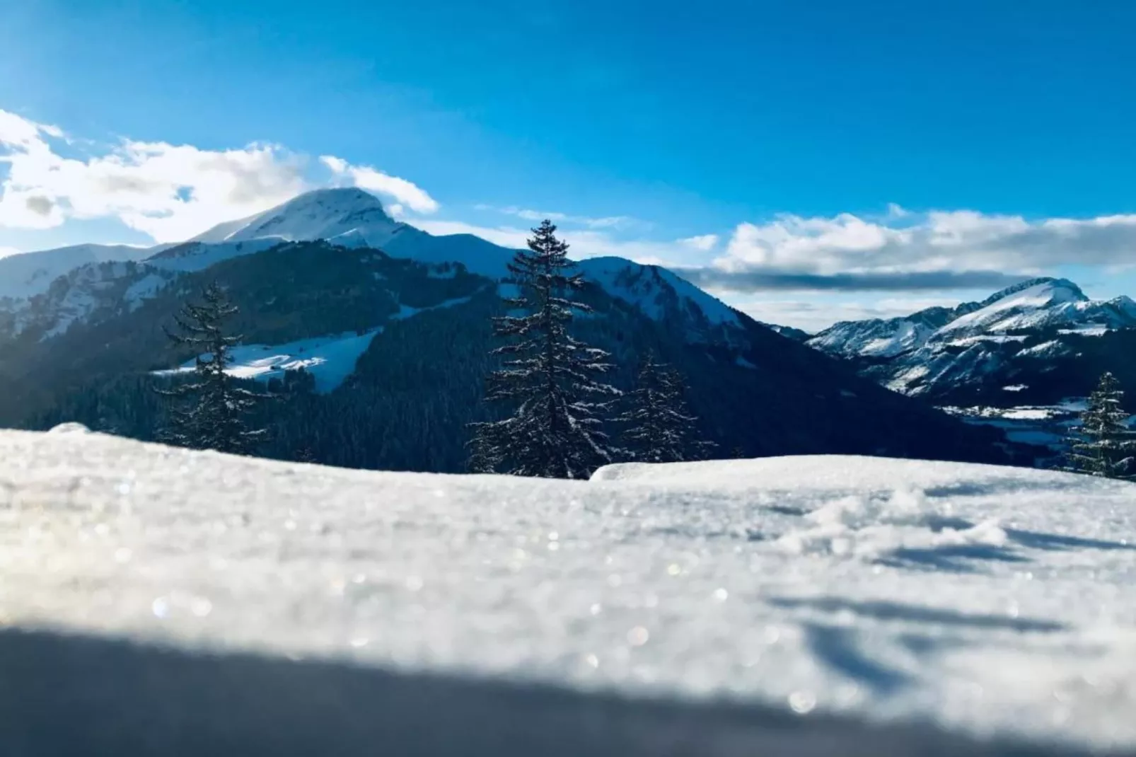 Les Fermes de Chatel 2-Gebied winter 20km