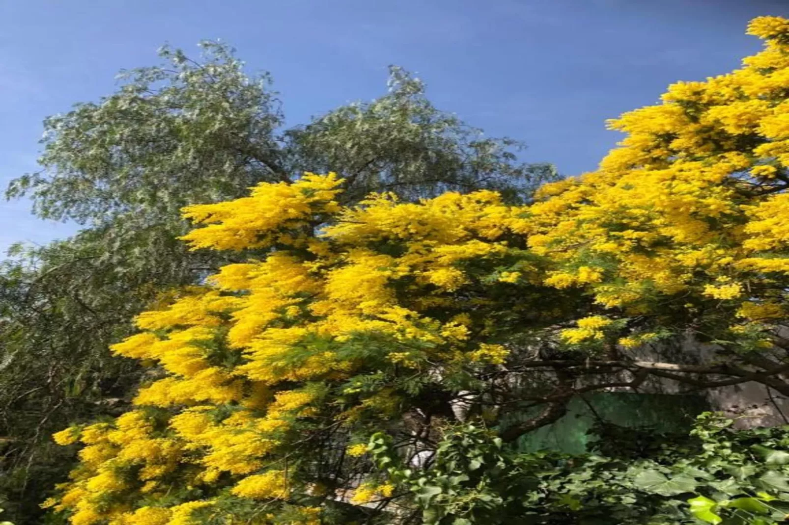 Villa 3 pieces Villas Jumelées-Gebieden zomer 20km