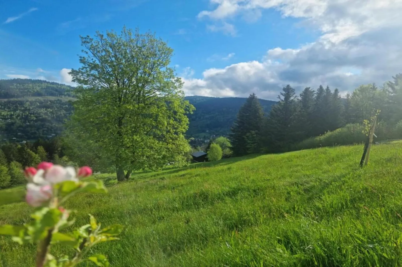 Le Menil-Gebieden zomer 20km