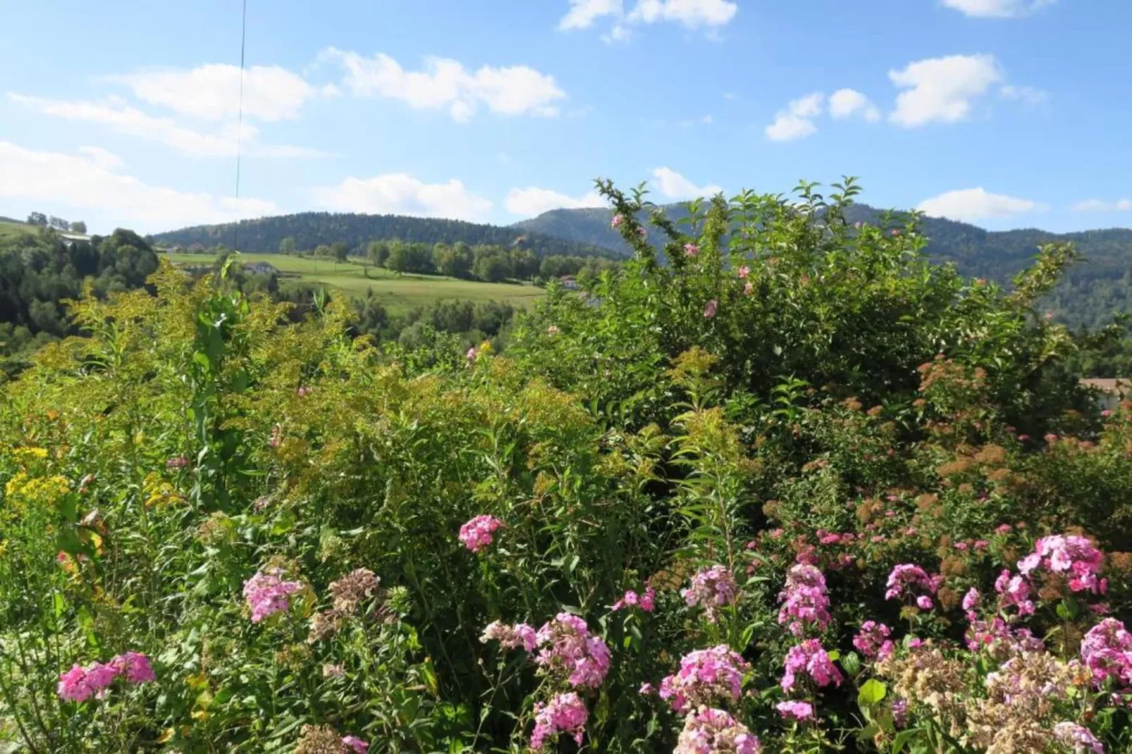 Chalet l'Aigle - Saint-Maurice-sur-Moselle-Gebieden zomer 20km