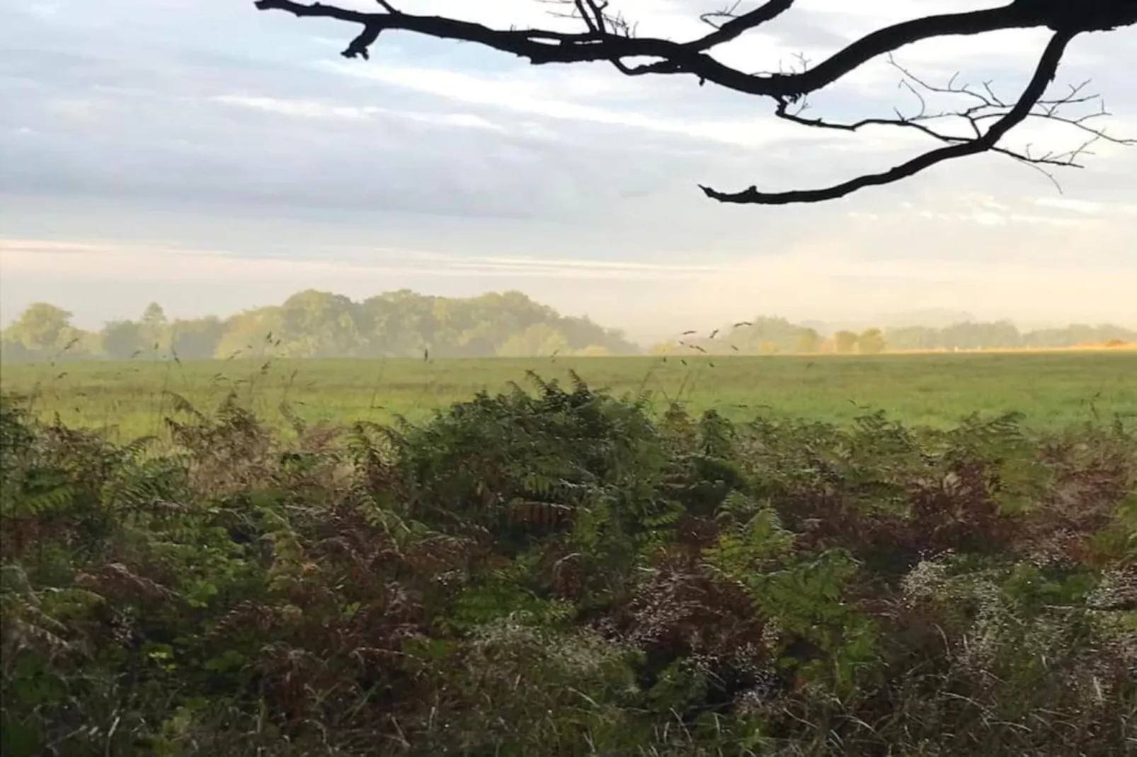 Higher House-Gebieden zomer 20km