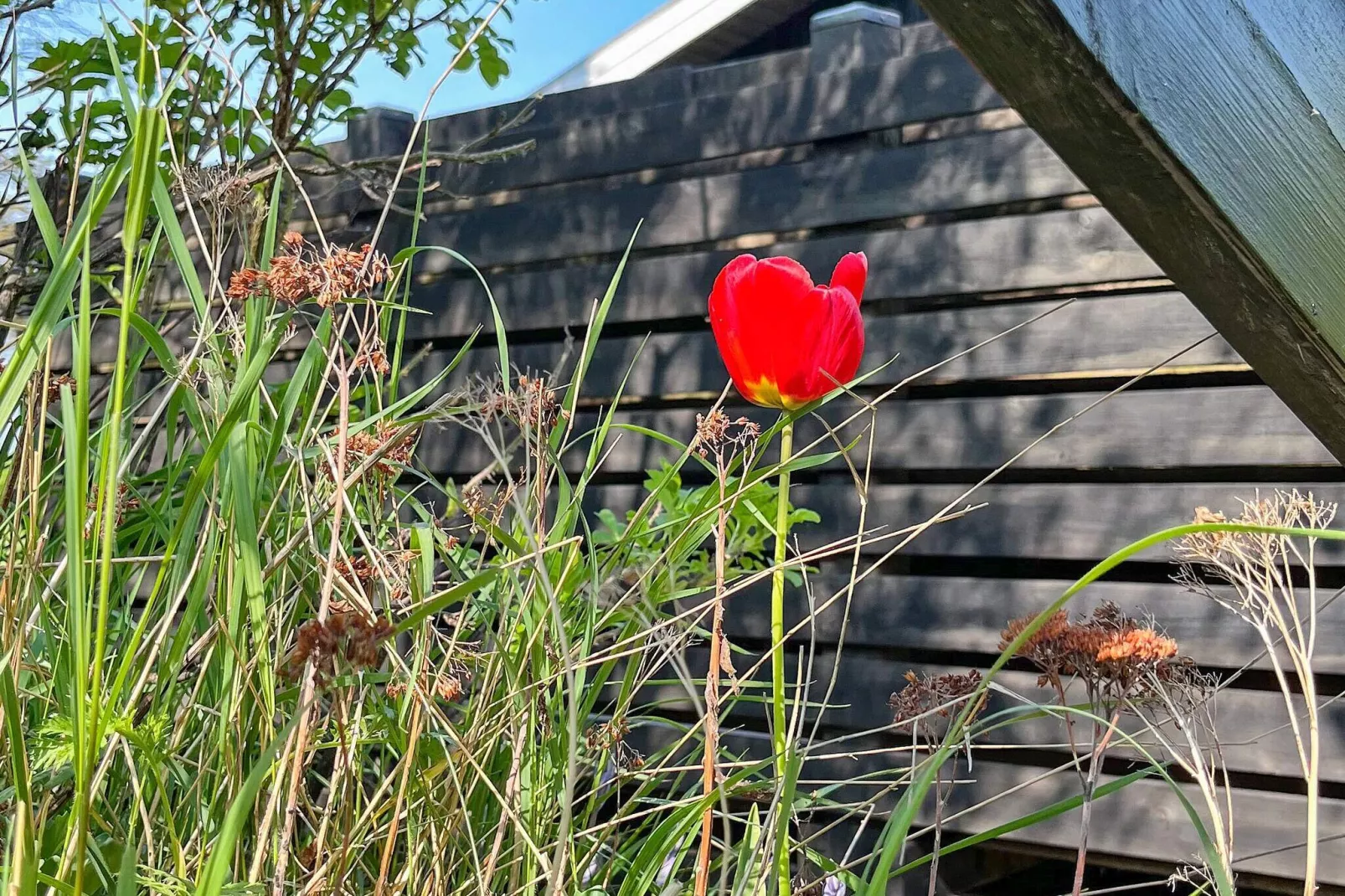 6 persoons vakantie huis in Thyholm-Uitzicht