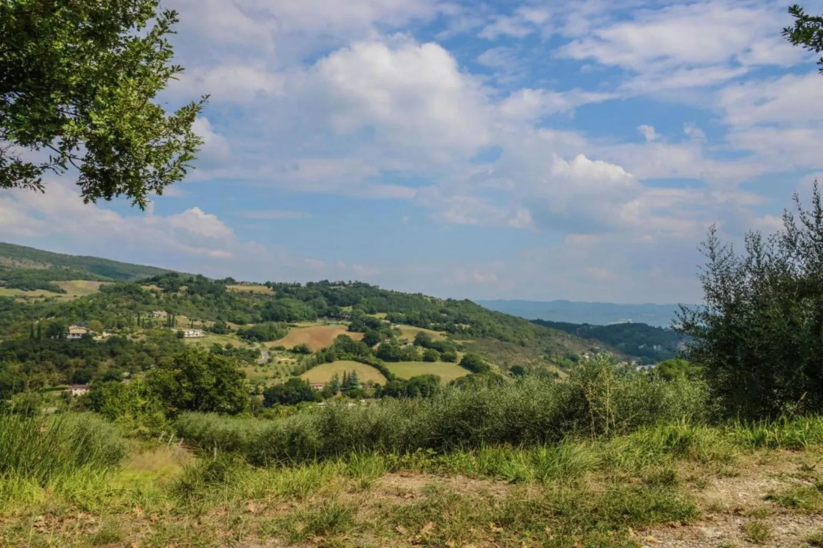 Belvedere-Gebieden zomer 5km