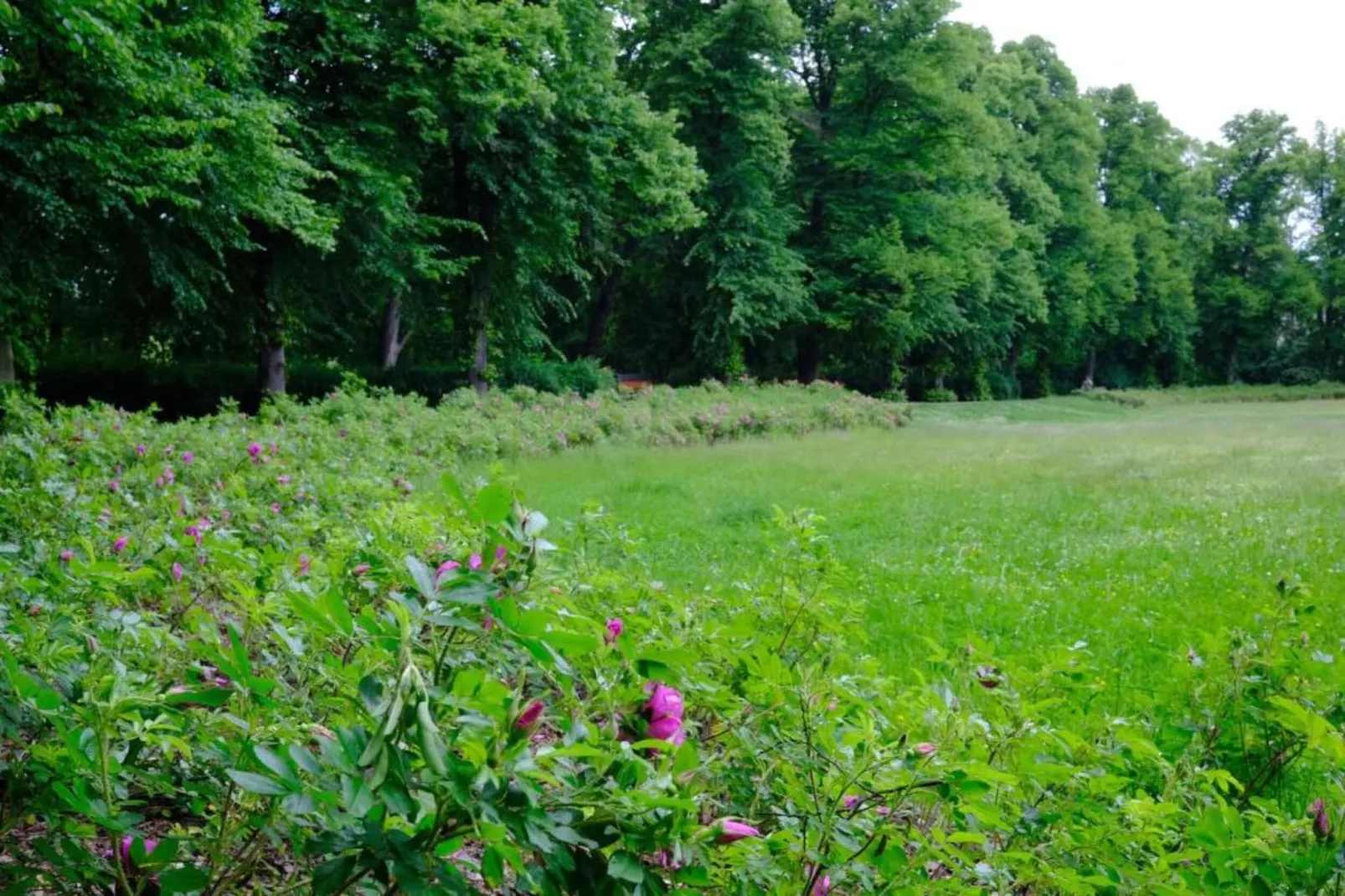 Priore-Gebieden zomer 20km