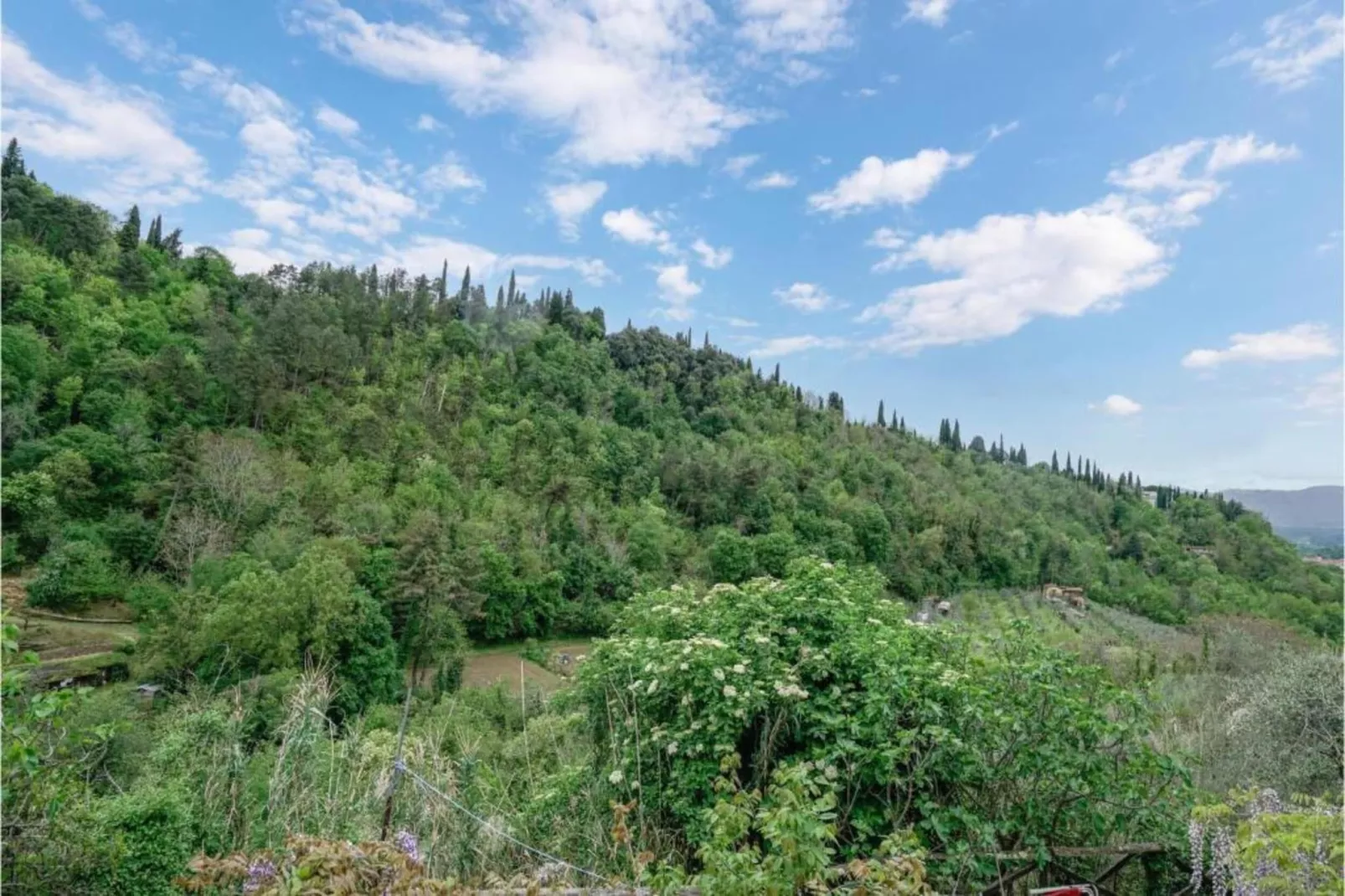 Podere Pulicciano Cantina-Gebieden zomer 5km