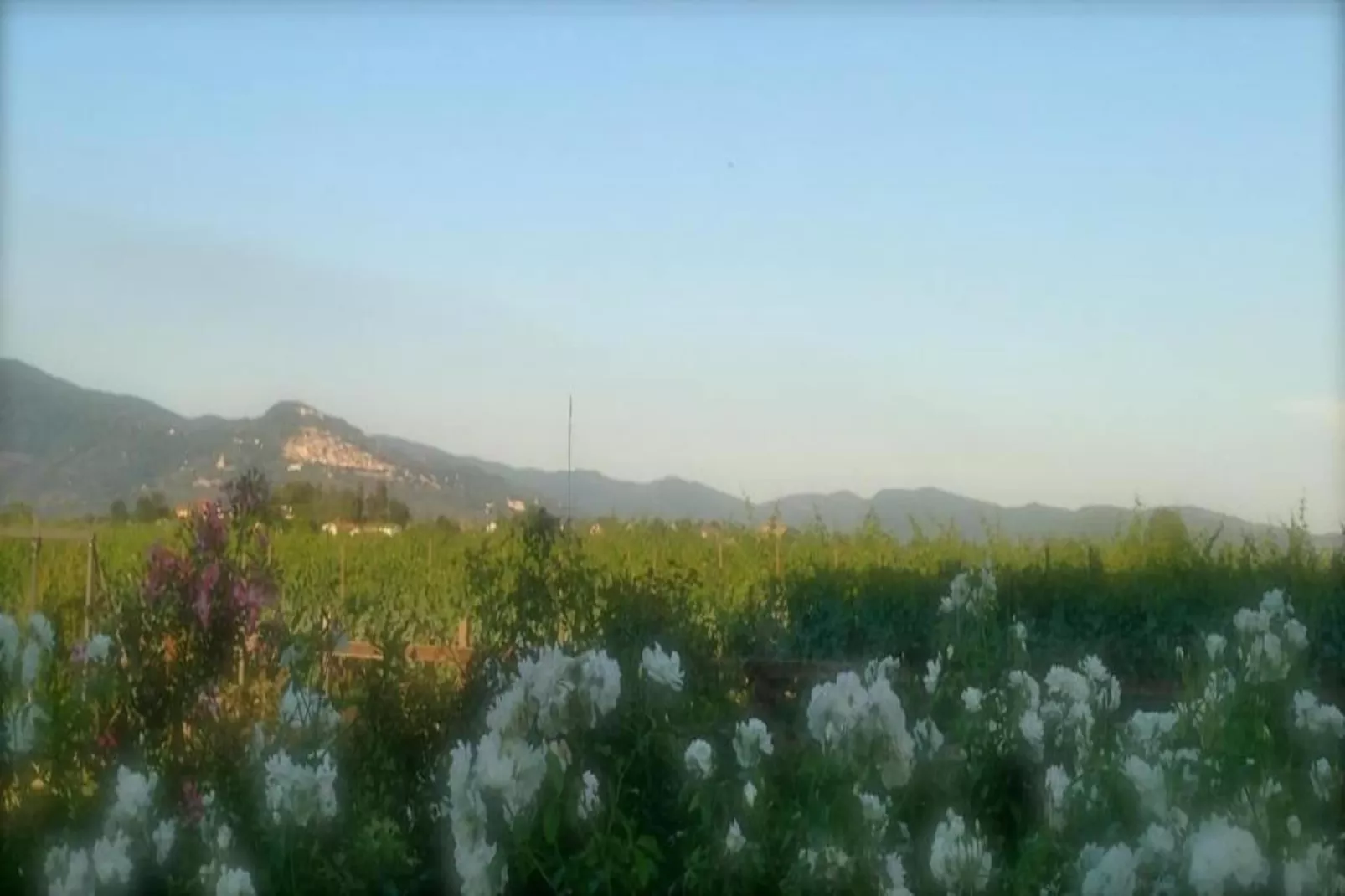 Villa i Pini-Gebieden zomer 20km