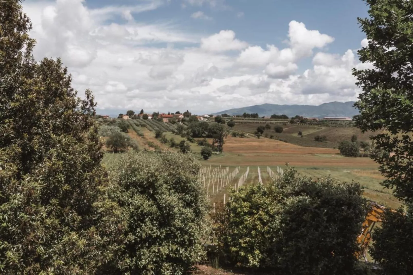 Castagno del Riccio-Gebieden zomer 5km