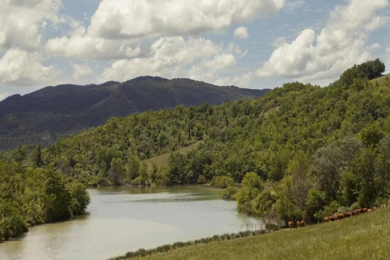 Villino Uno-Gebieden zomer 20km