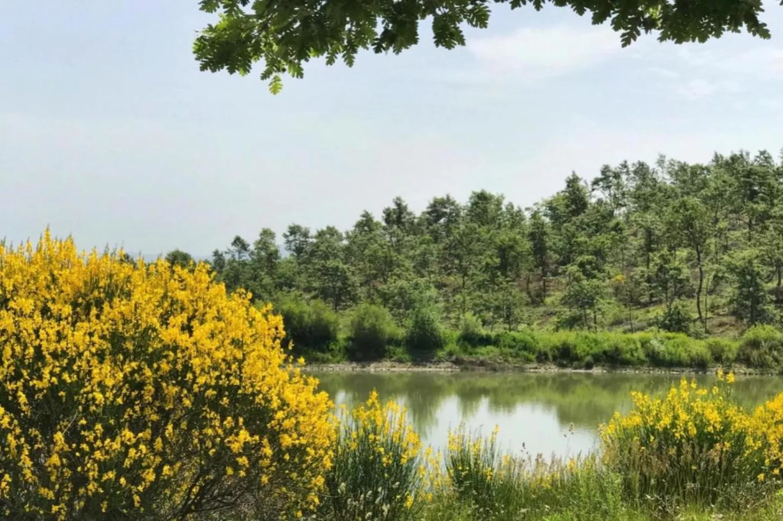 Il Palazzo-Gebieden zomer 20km