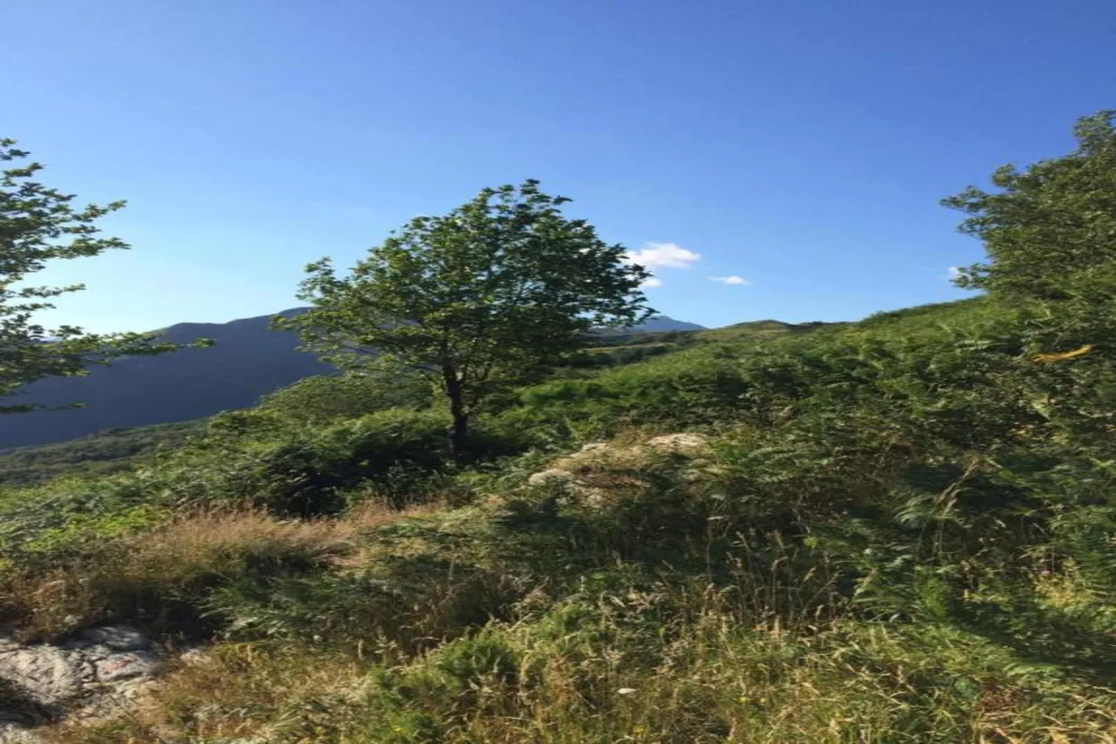Casa Irene-Gebieden zomer 20km