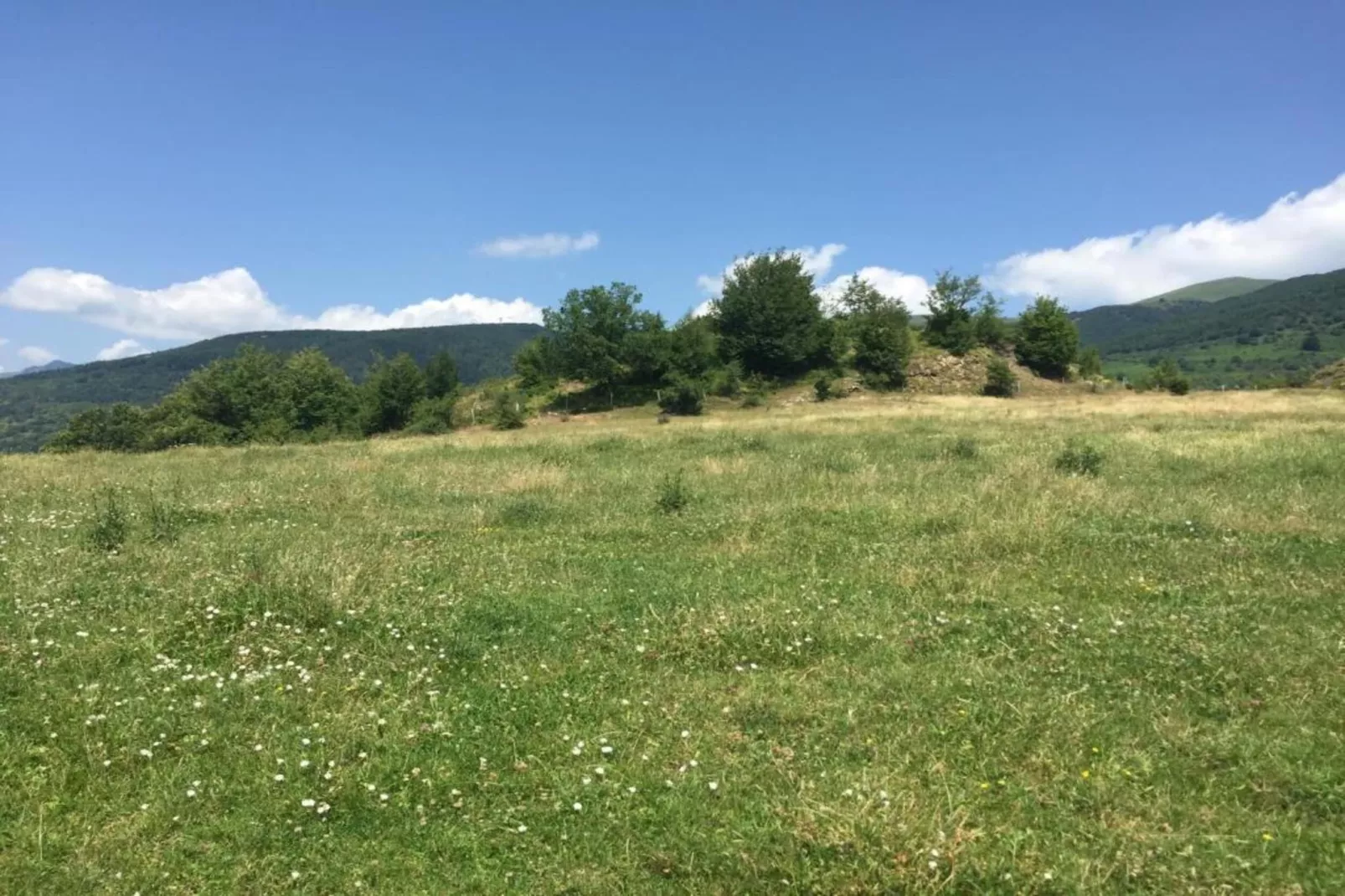 Renzo-Gebieden zomer 20km