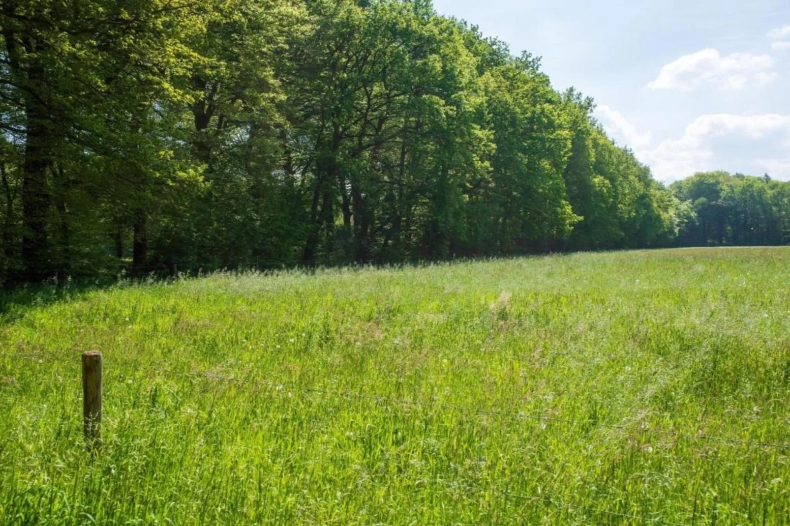 Kukeluusje-Gebieden zomer 20km