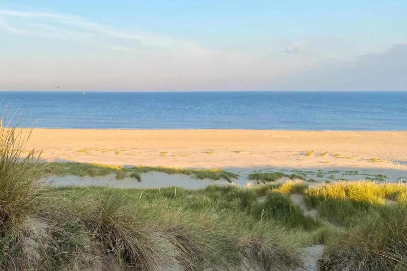 DE PETTEN-Gebieden zomer 20km