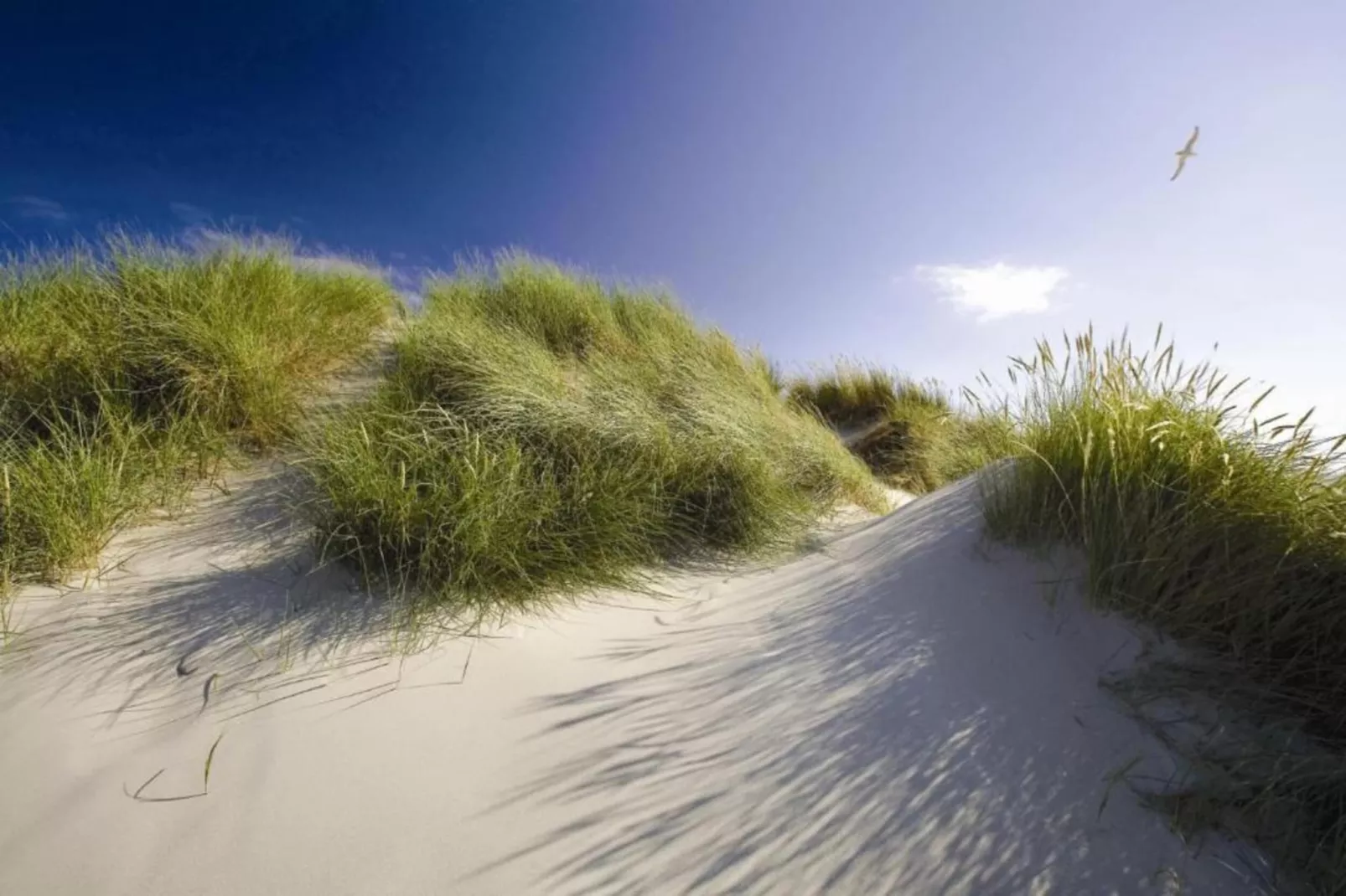 Residentie Californië 3-Gebieden zomer 20km