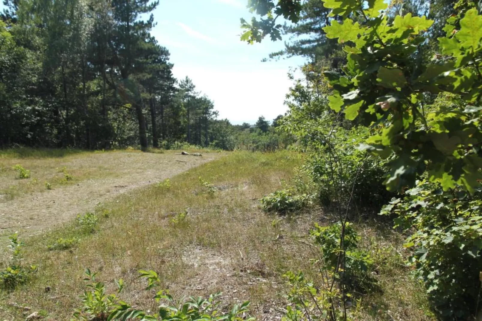 Huize Glory Saffier-Gebieden zomer 20km