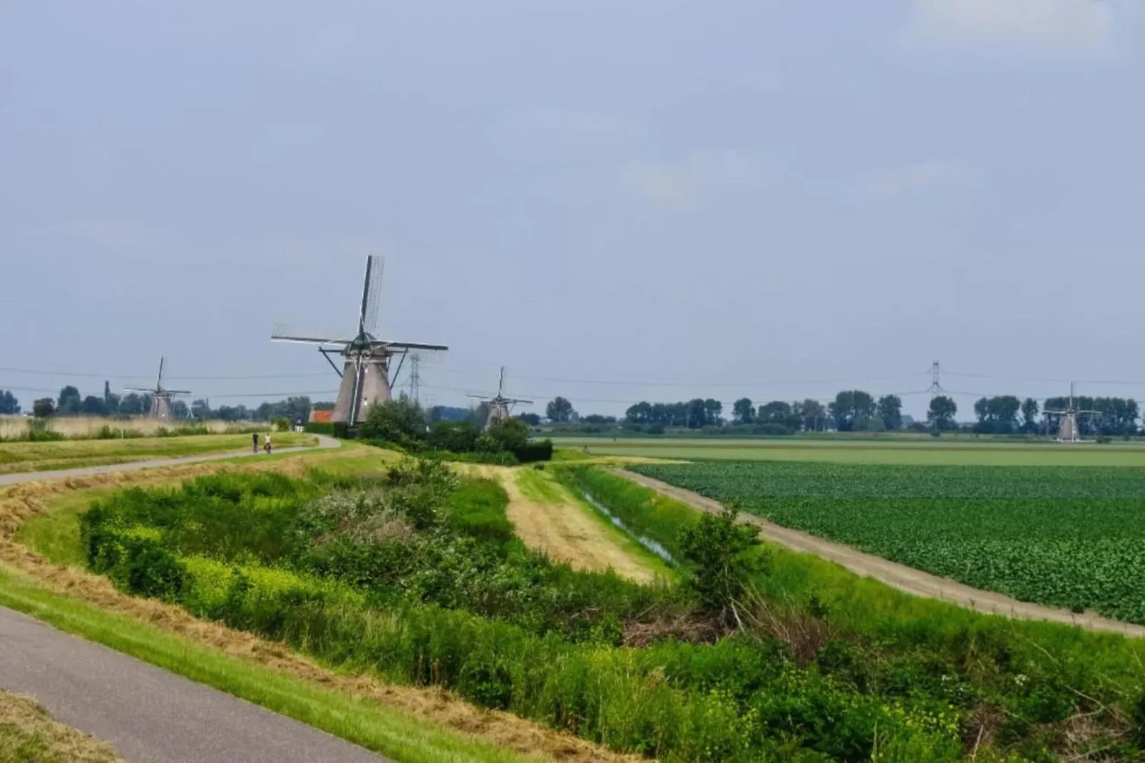 Harrekidee-Gebieden zomer 20km