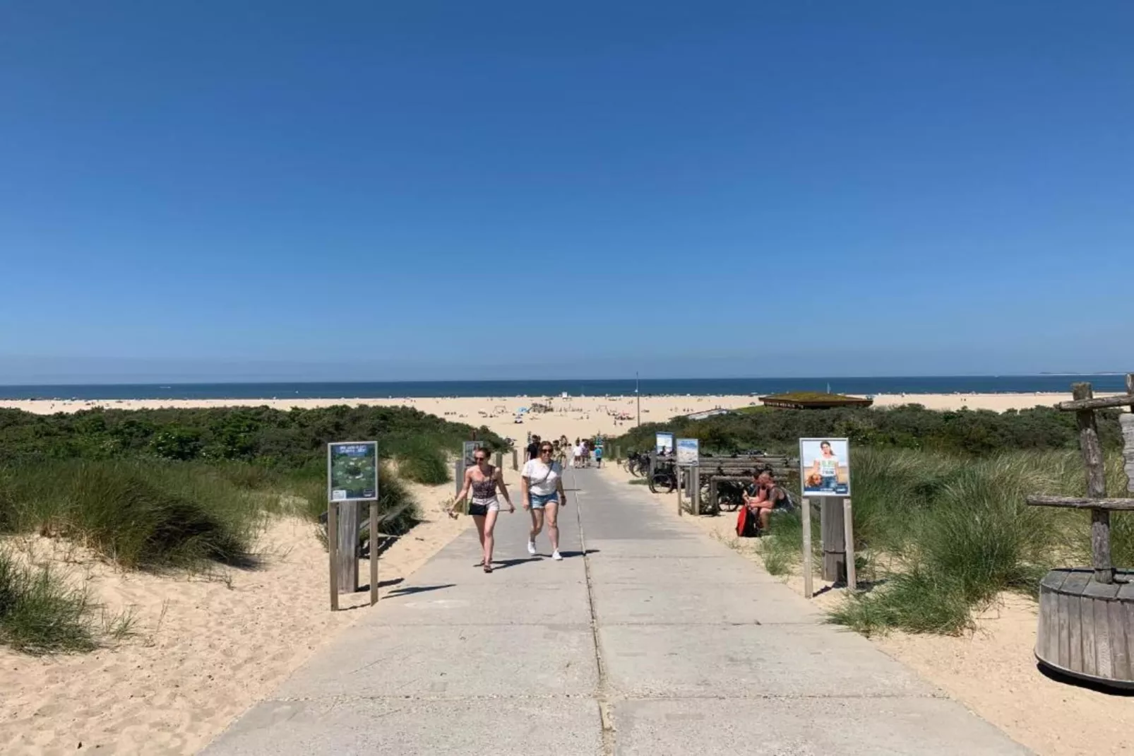 Vroondijk 2- Zeepeertje-Gebieden zomer 20km
