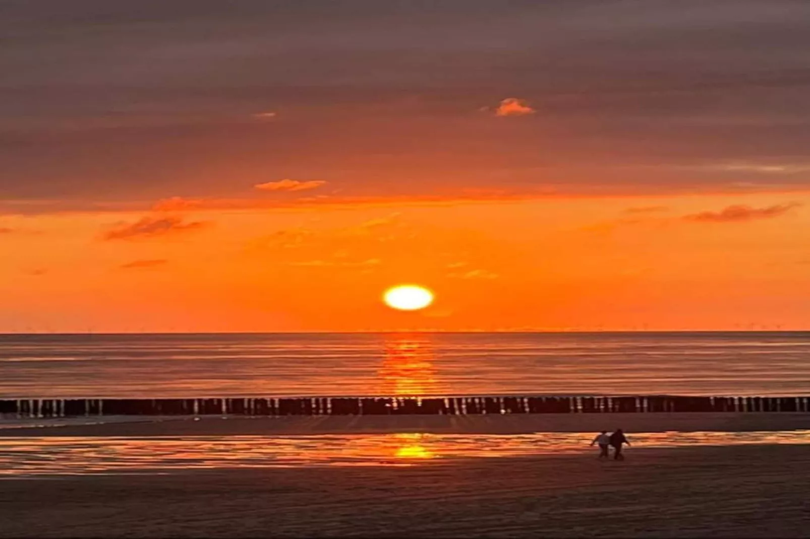 Noordzee Résidence Dishoek 2-Gebieden zomer 5km
