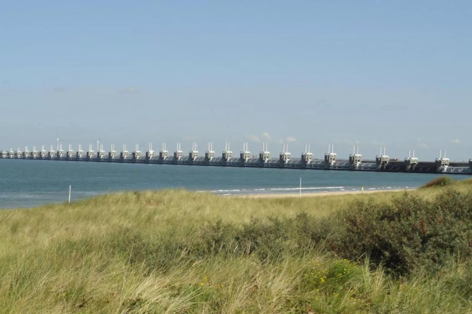 Populierenlaan 1-Gebieden zomer 20km