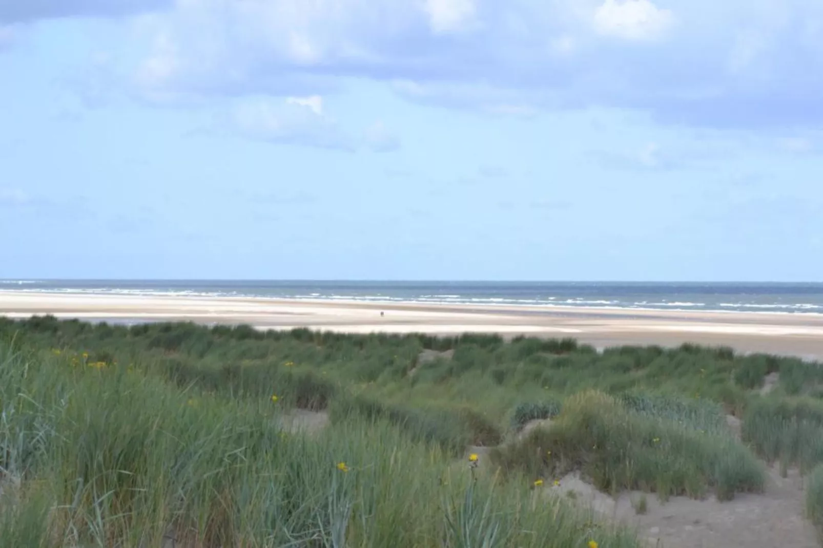 Beach Resort Nieuwvliet-Bad 17 - Gebieden zomer 20km