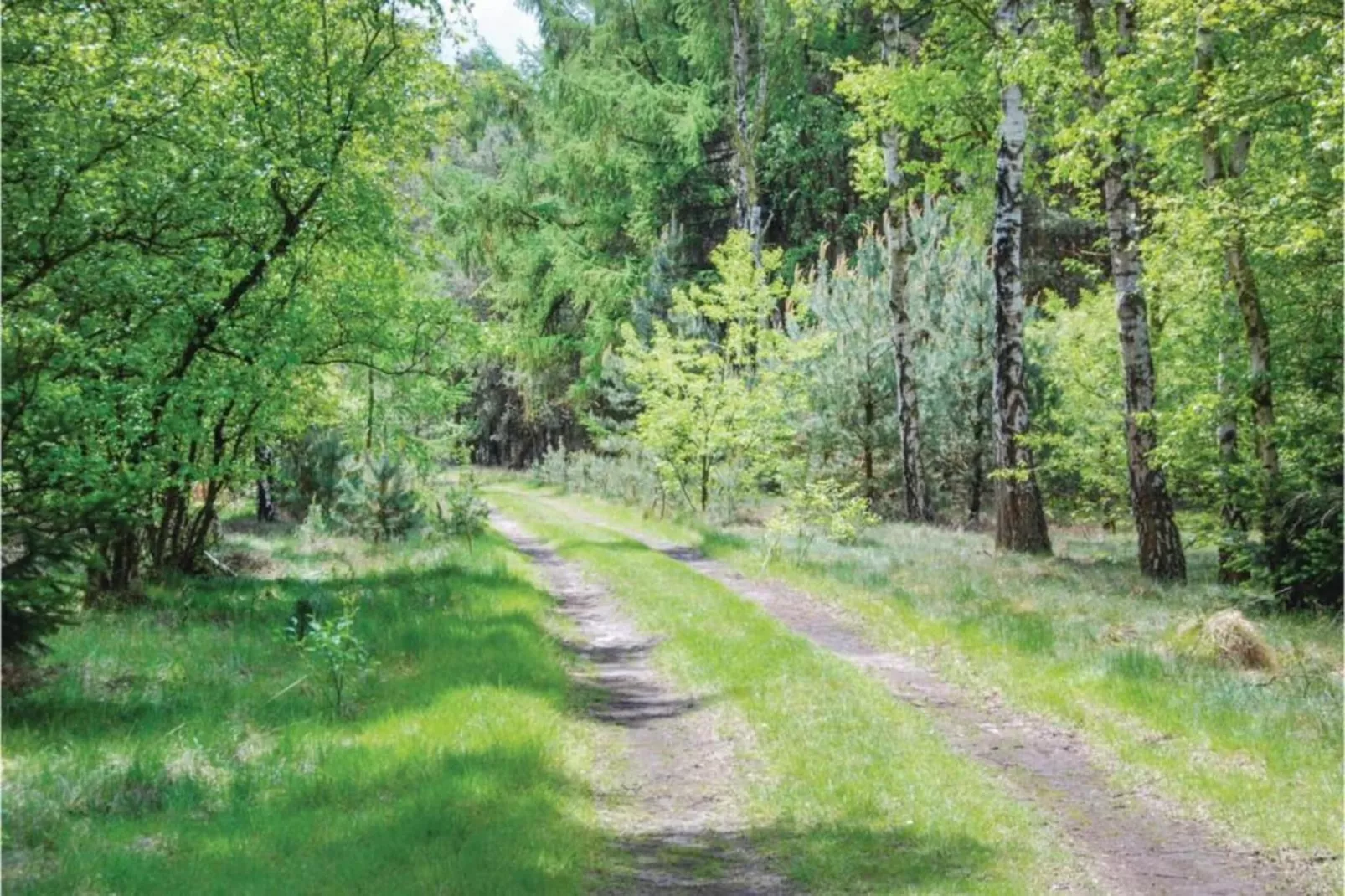 Dorpswoning Het Uitzicht-Gebieden zomer 20km
