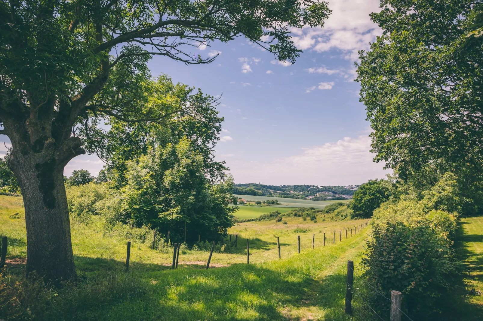 Bungalowpark Schin op Geul 3-Gebieden zomer 5km