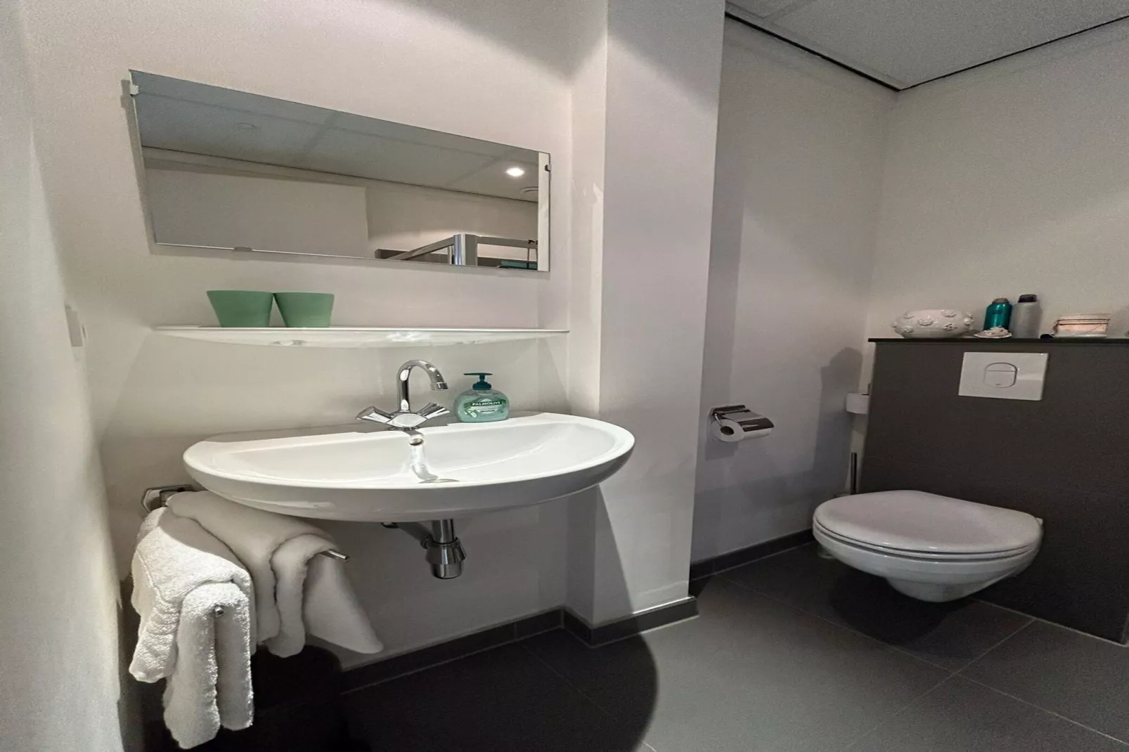 Hof van Craeck II-Badkamer